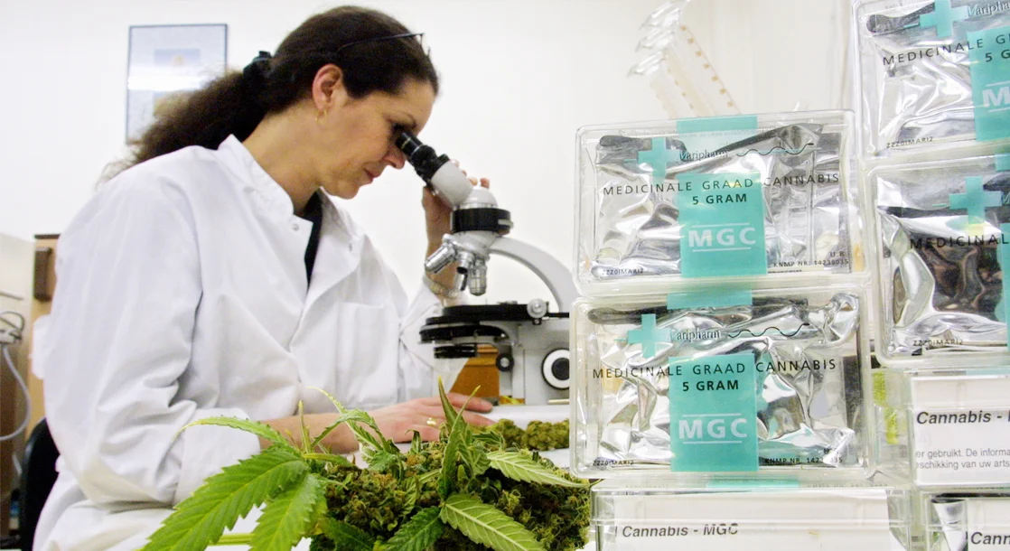 cannabis research.jpg