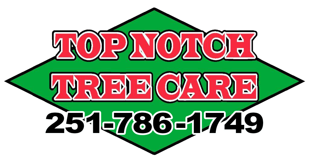 Top Notch Tree Care