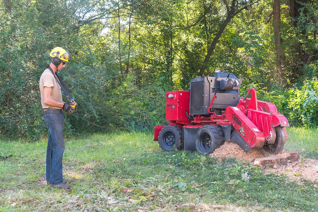 TopNotchTreeCare-0159.jpg