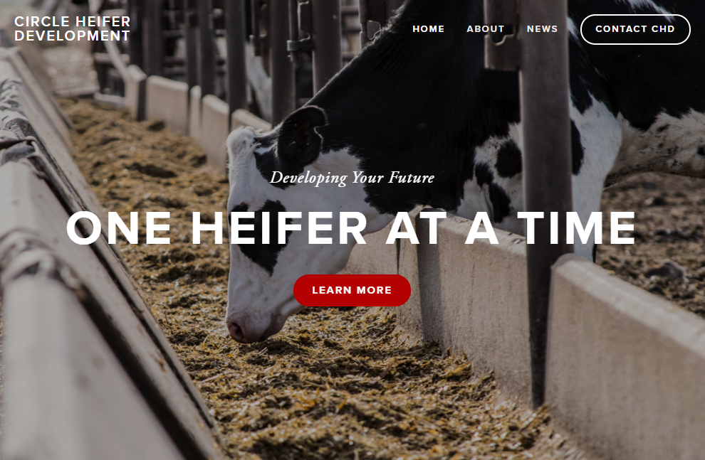 Circle Heifer Development