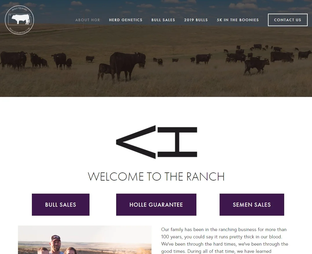 Holle Gelbvieh Ranch