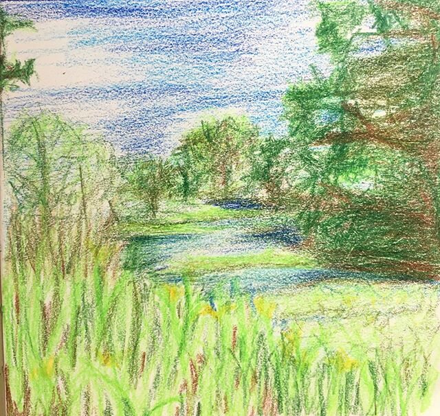 So lovely to be able to get outside &amp; do some sketching on this beautiful sunny afternoon #sketching #drawing #colourpencil #colourpencilsketch #colourpencilart #artoutdoors #art #summerdays #pond #lockdownart #isolationart #bedesignmondays #bede