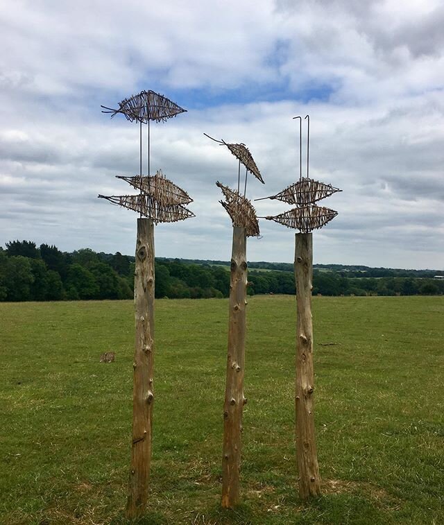 Spotted some outdoor sculpture (I think thats what it was anyway!) on a socially distanced walk at @sheffield_park_and_garden today #outdoorgems #lockdownwalks #exploring #sculpture #sculptureinnature #outdoorart #woodcarving #sheffieldpark #sussex #
