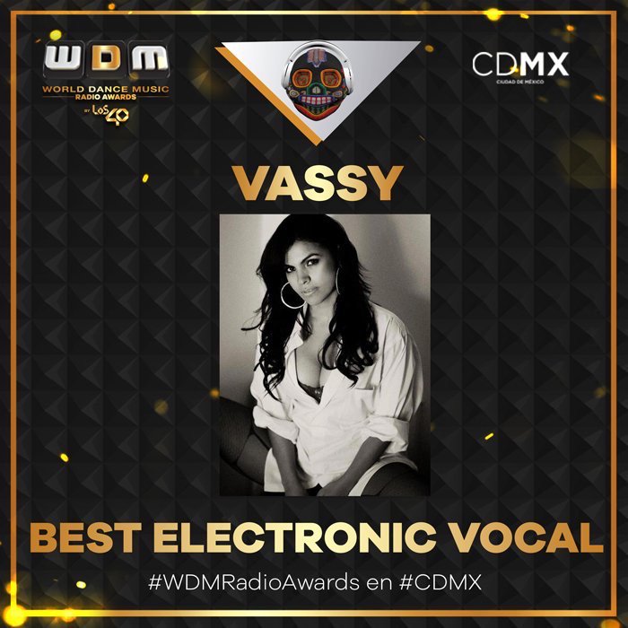 WDM-VASSY.jpg