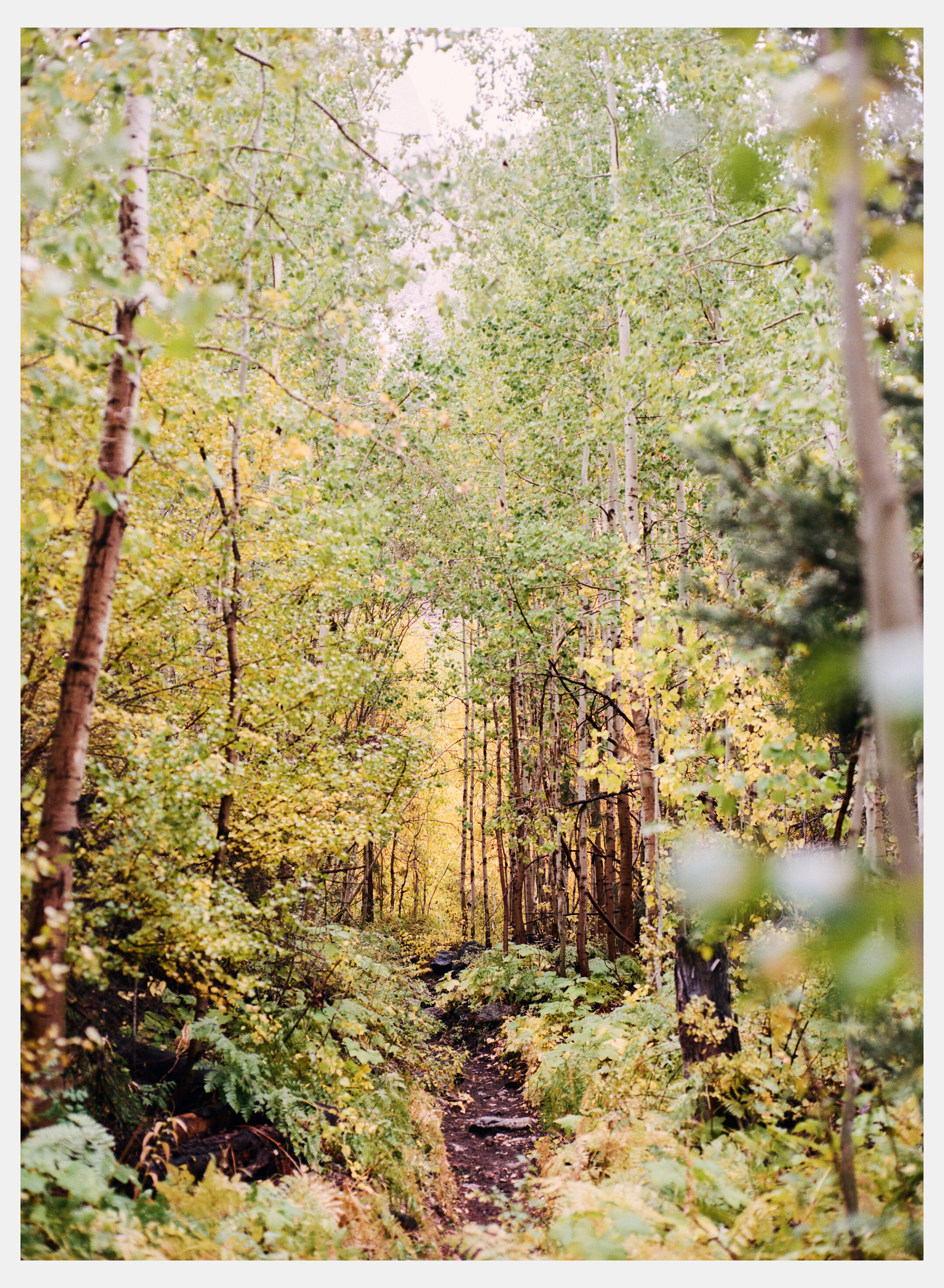 FILM_BISHOP_8.jpg