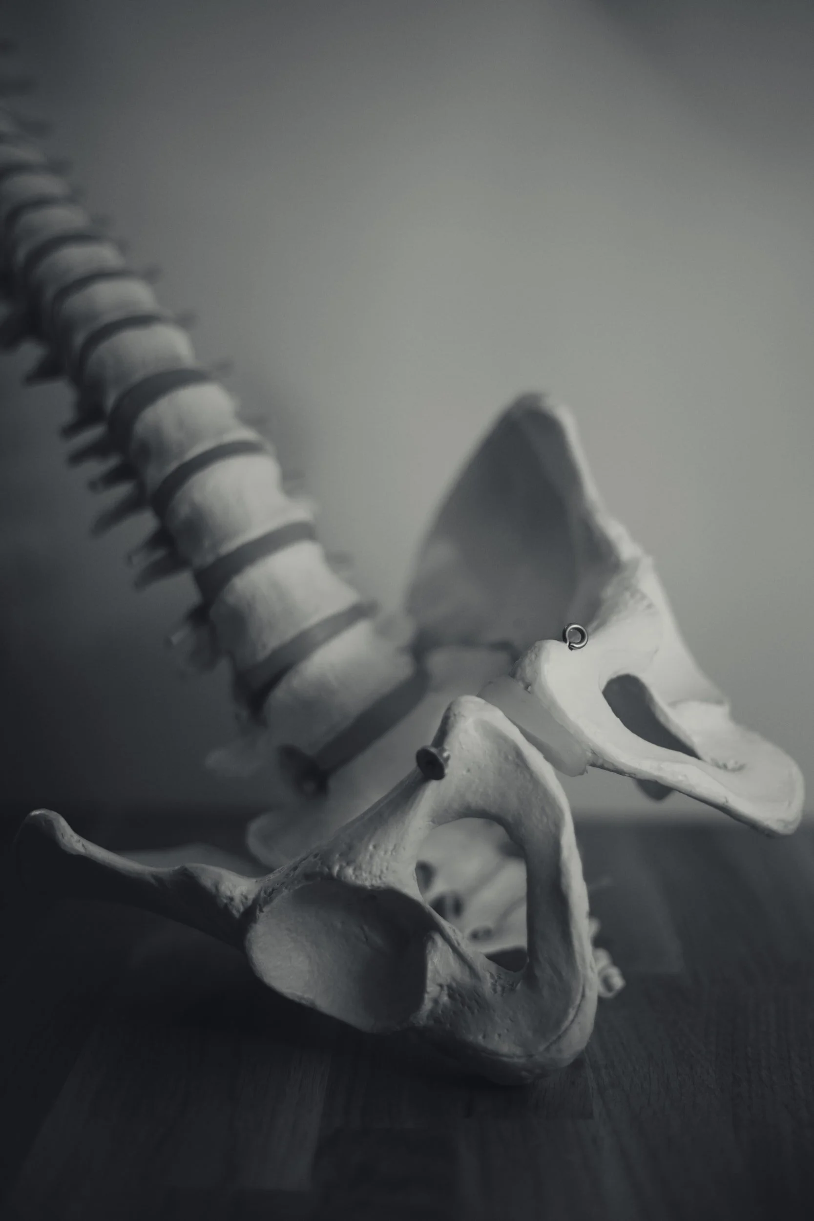 The Spinal Cord Is Smarter Than We Thought 