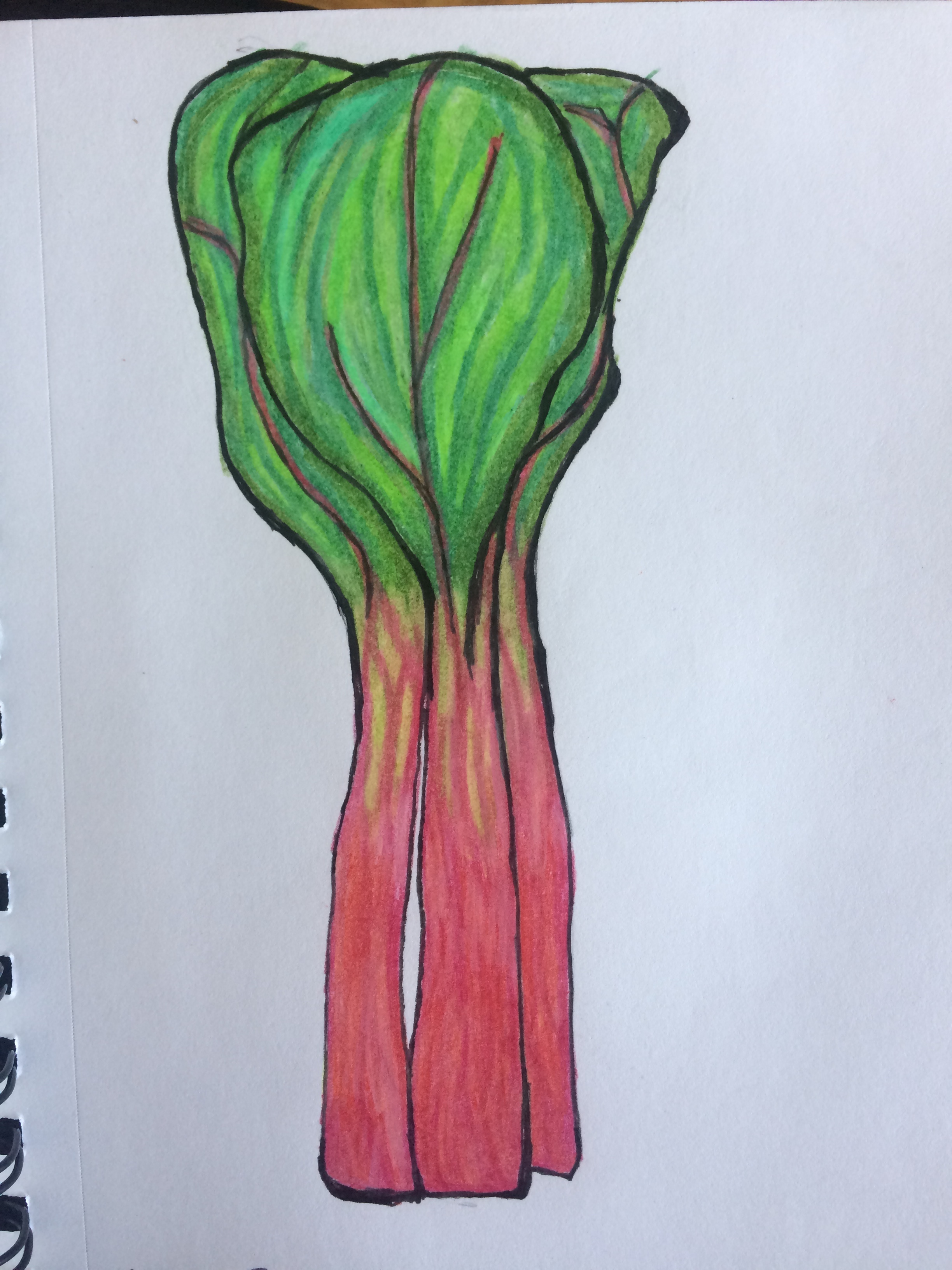 rhubarb.JPG