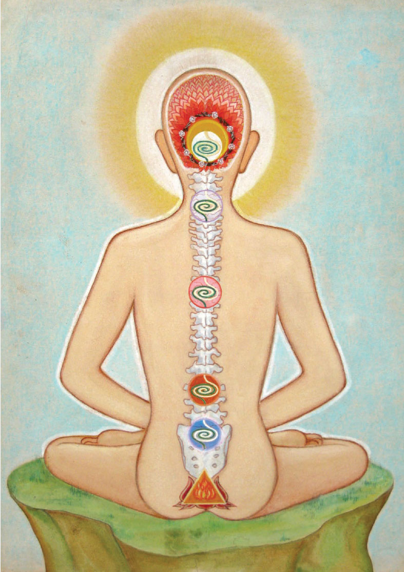 Back View of the Nine Chakras