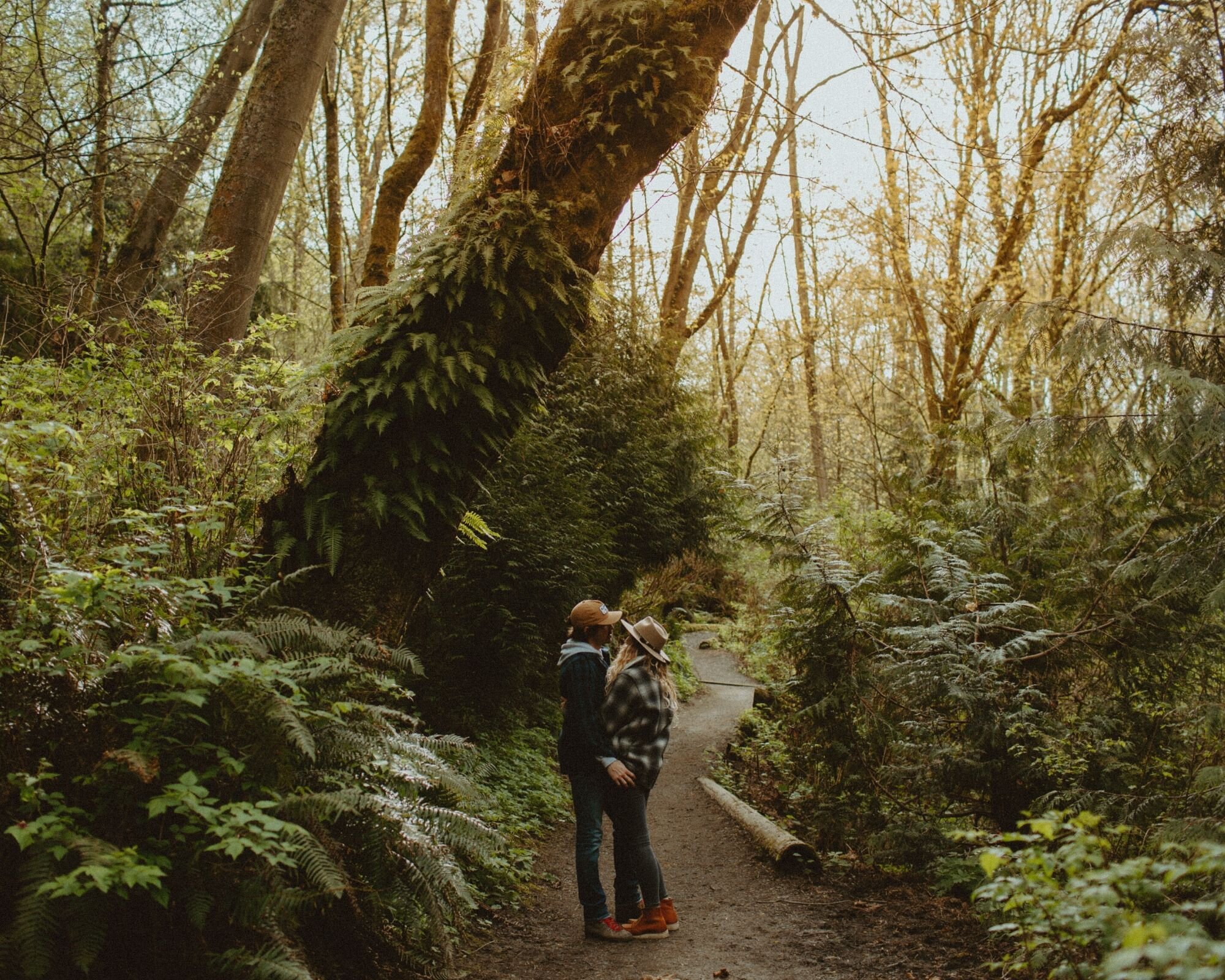 seattle washington engagement photos in the forest