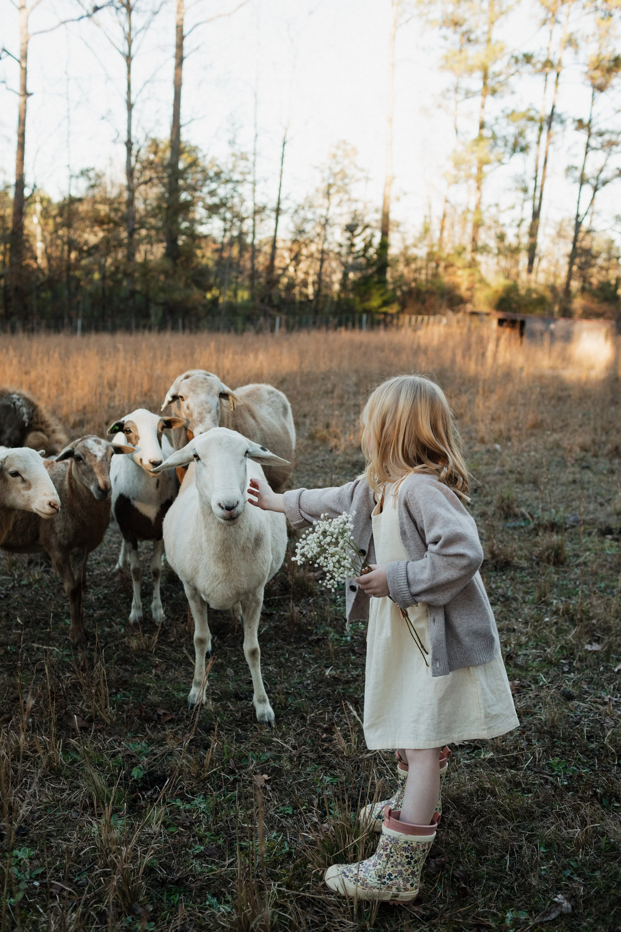 georgia-family-photos-12.jpg