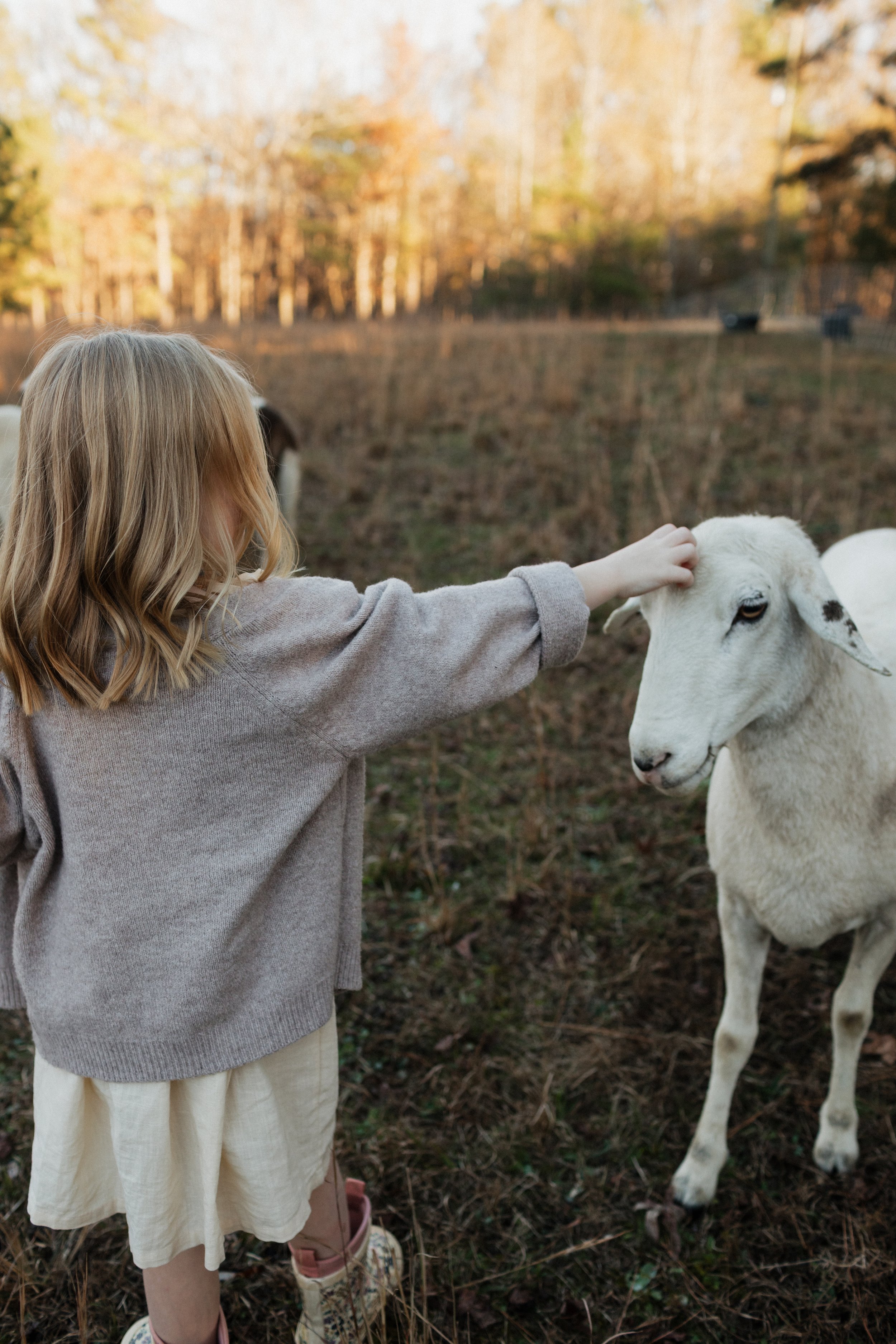 georgia-family-photos-14.jpg