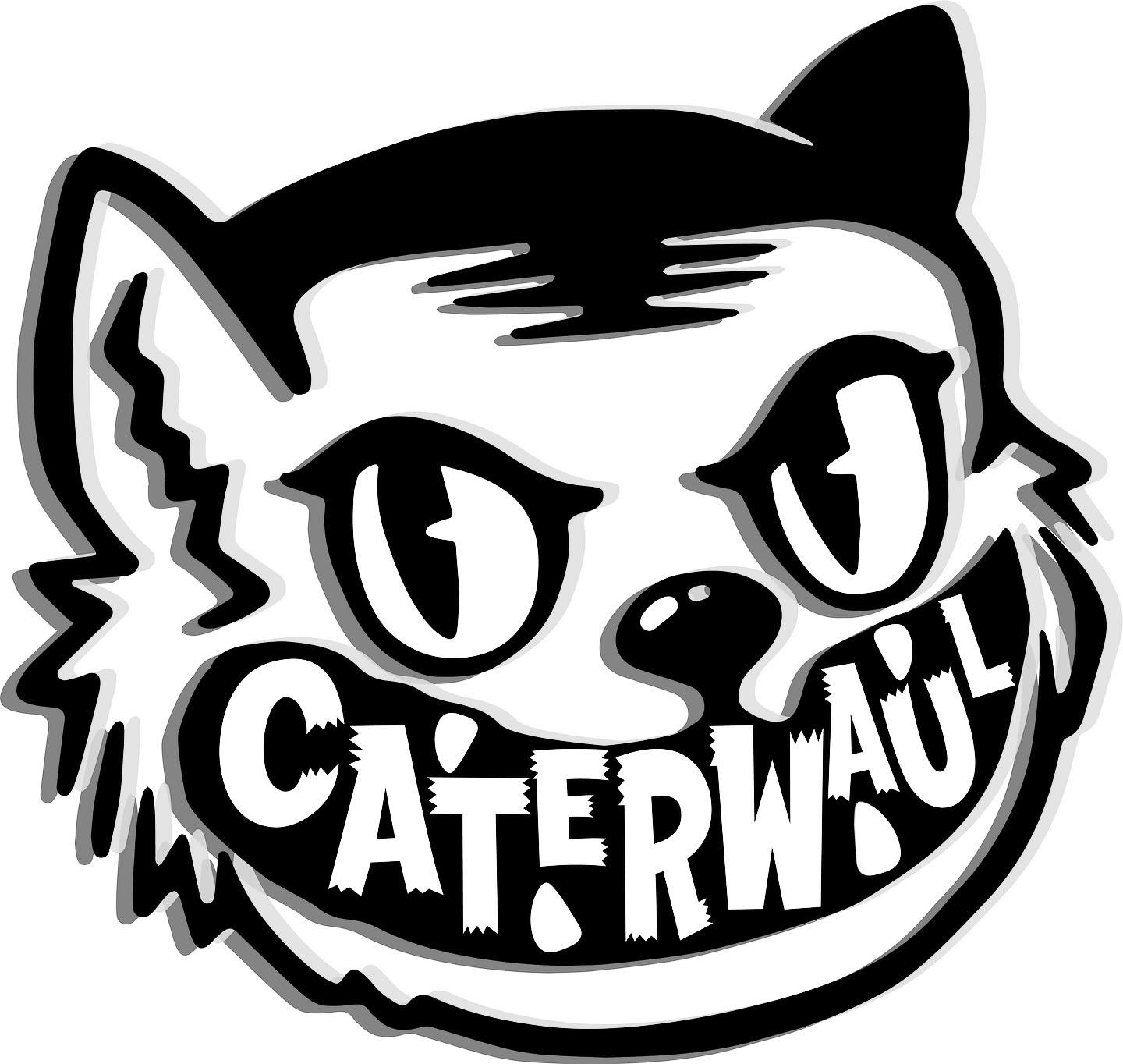 With the 2024 incarnation of @caterwaulfest just one month away, the fest organizers have released the final updated lineup and schedule for the event.

Scheduled for May 24-27 at Minneapolis institutions @palmersbar and @mortimersbar, this year's Ca