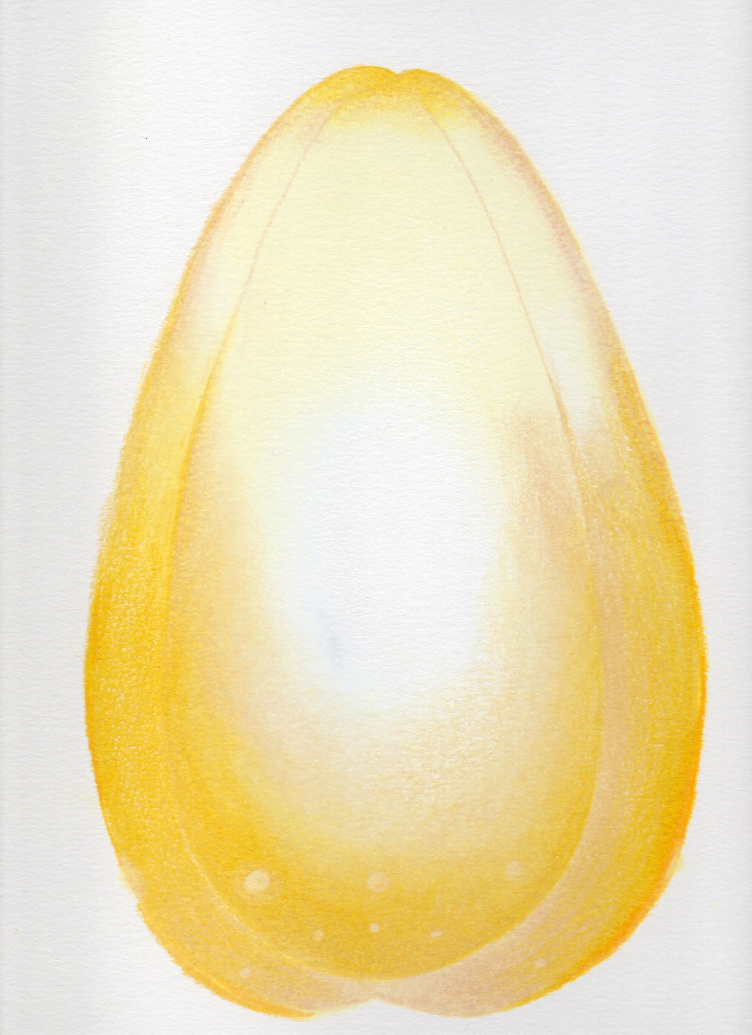 yellow flowee.jpg