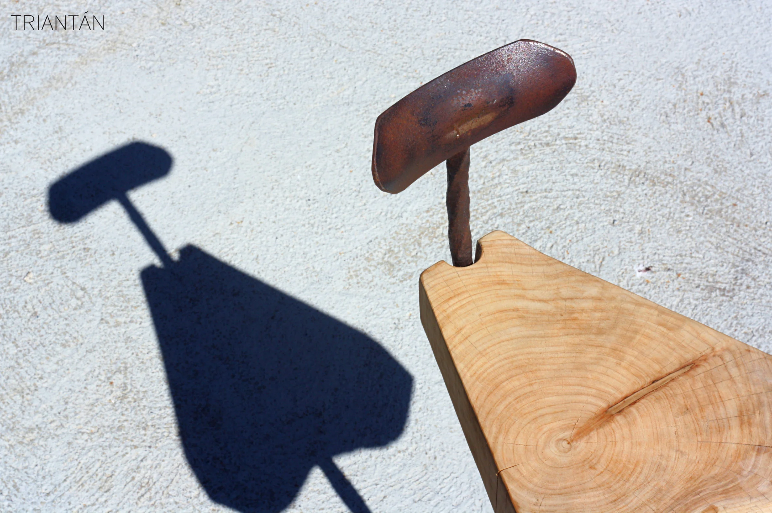 IMG_3260_Fotor Logo.jpg