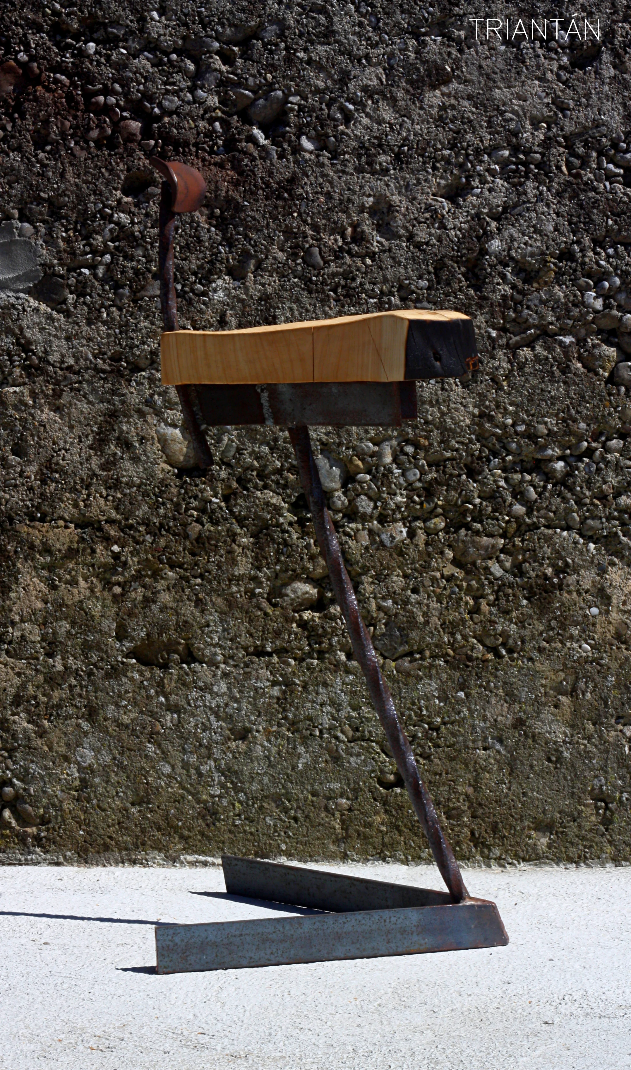 IMG_3265_Fotor Logo.jpg