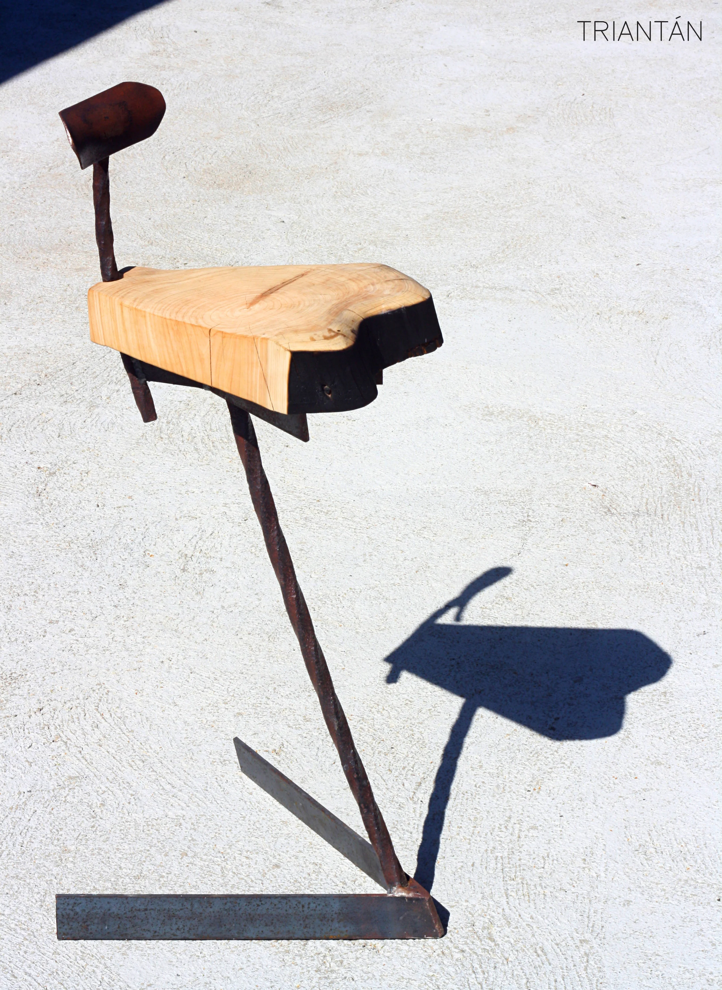 IMG_3271_Fotor Logo.jpg