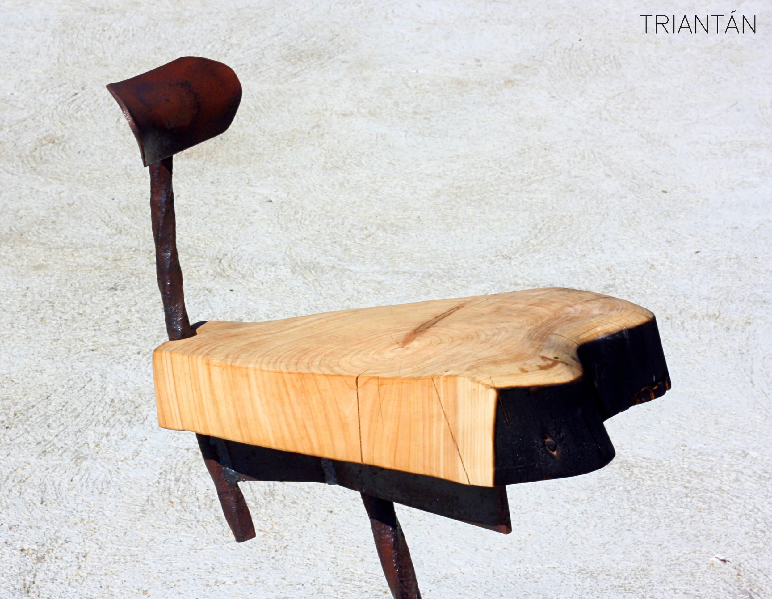 IMG_3272_Fotor Logo.jpg