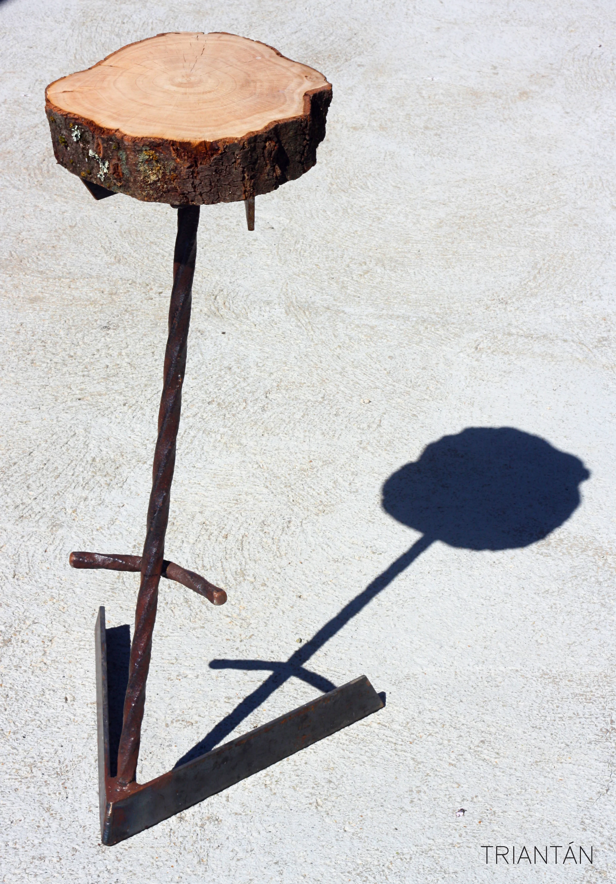 IMG_3275_Fotor Logo.jpg