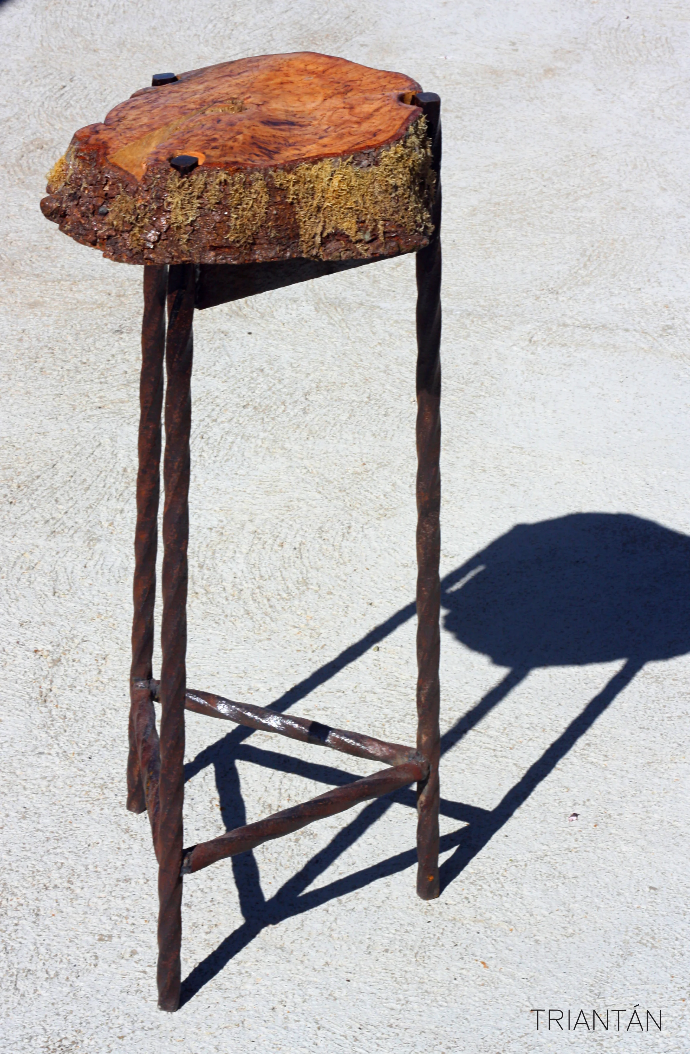 IMG_3283_Fotor Logo.jpg