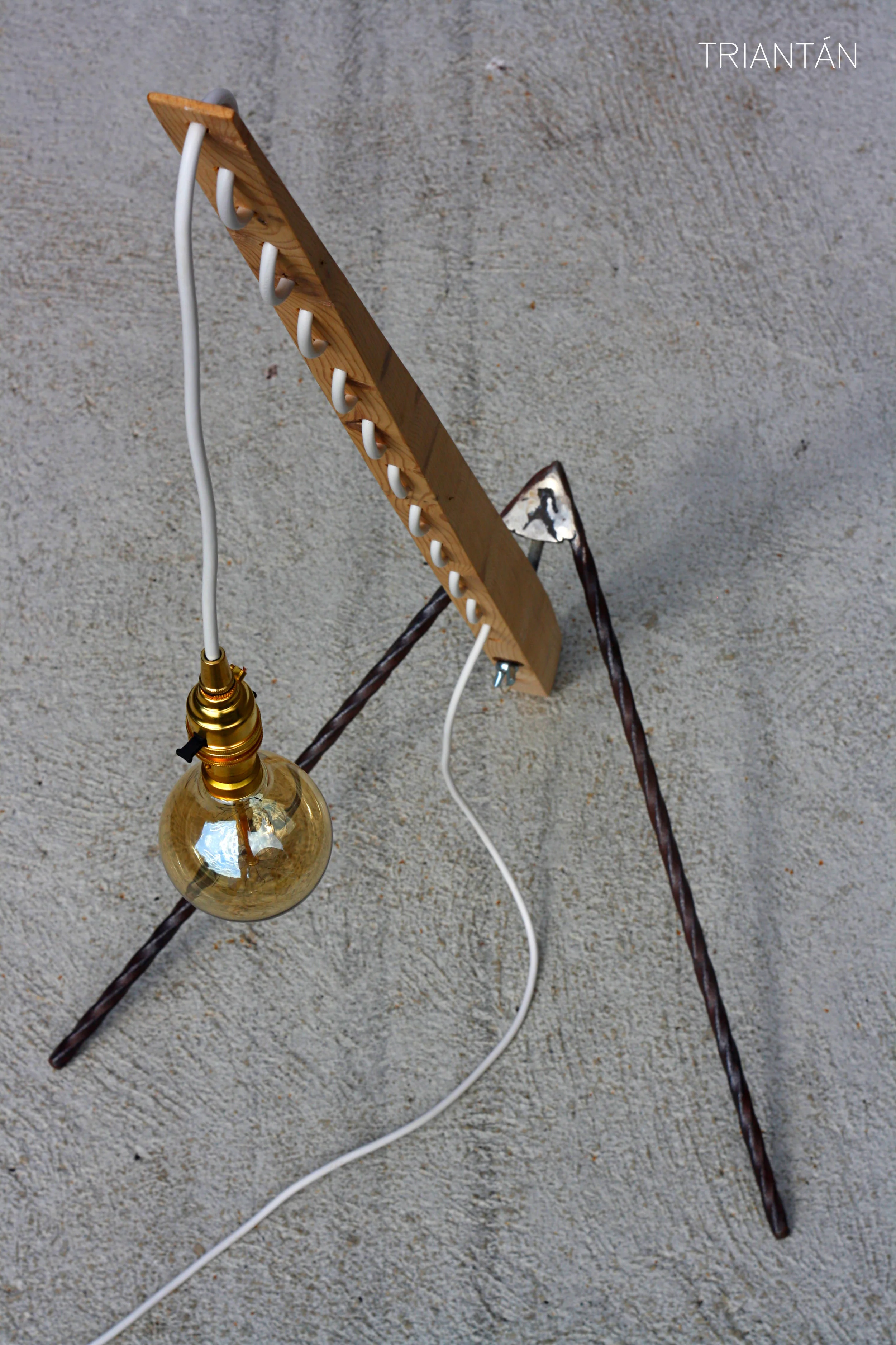 IMG_3503_Fotor Logo.jpg