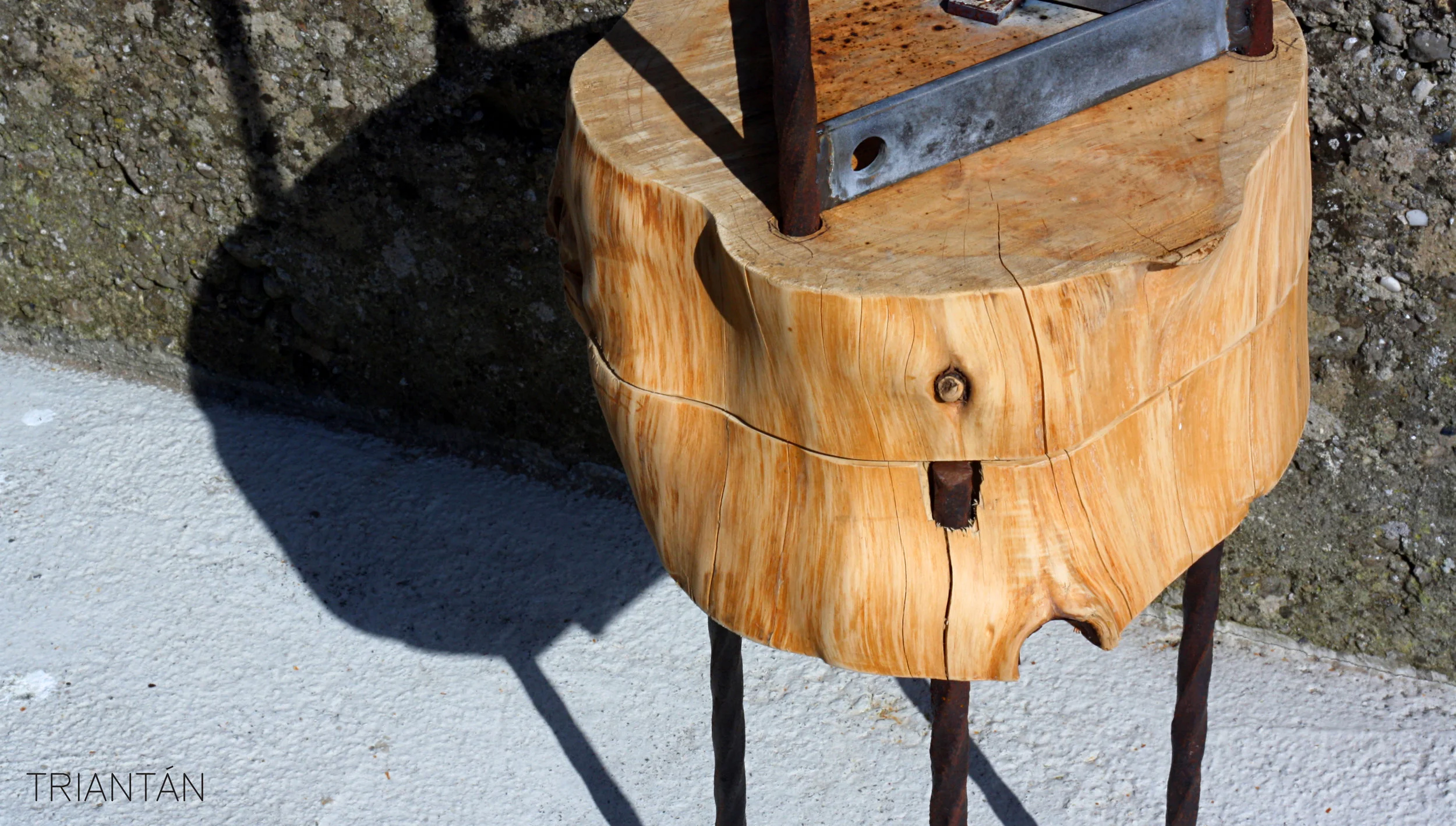 IMG_3405_Fotor Logo.jpg