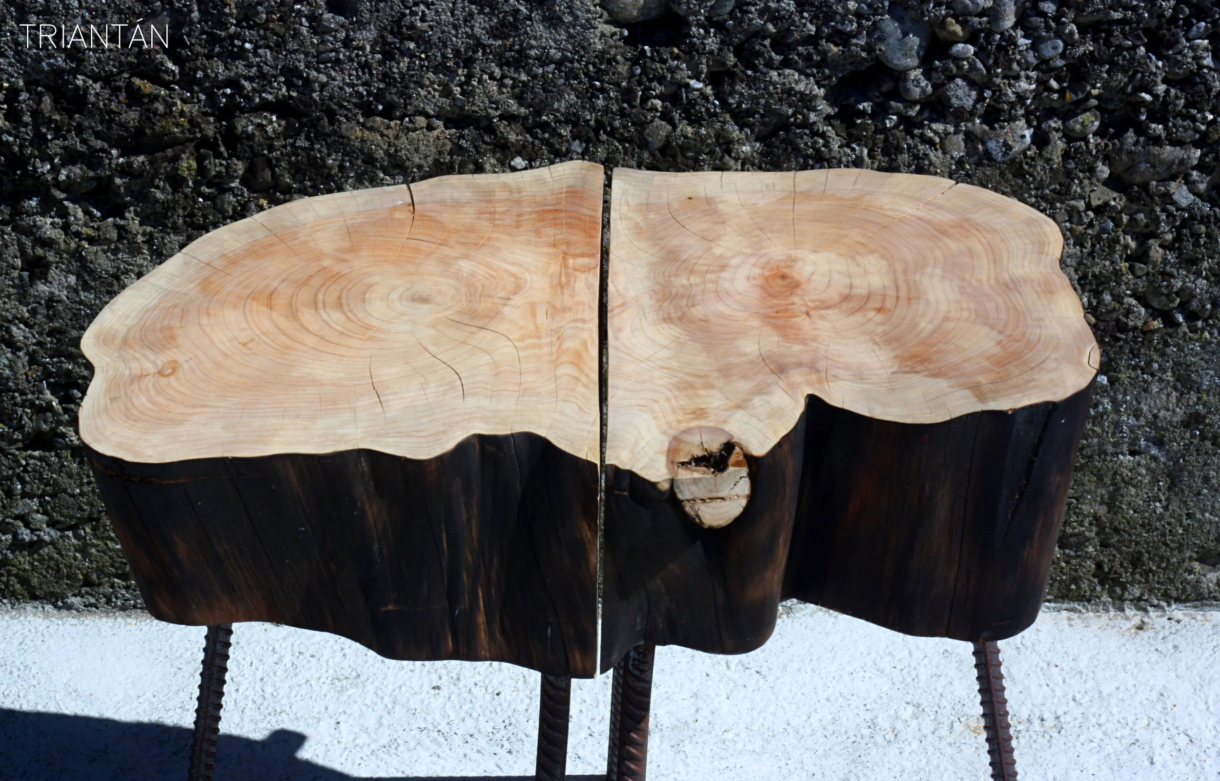 IMG_3247_Fotor Logo.jpg