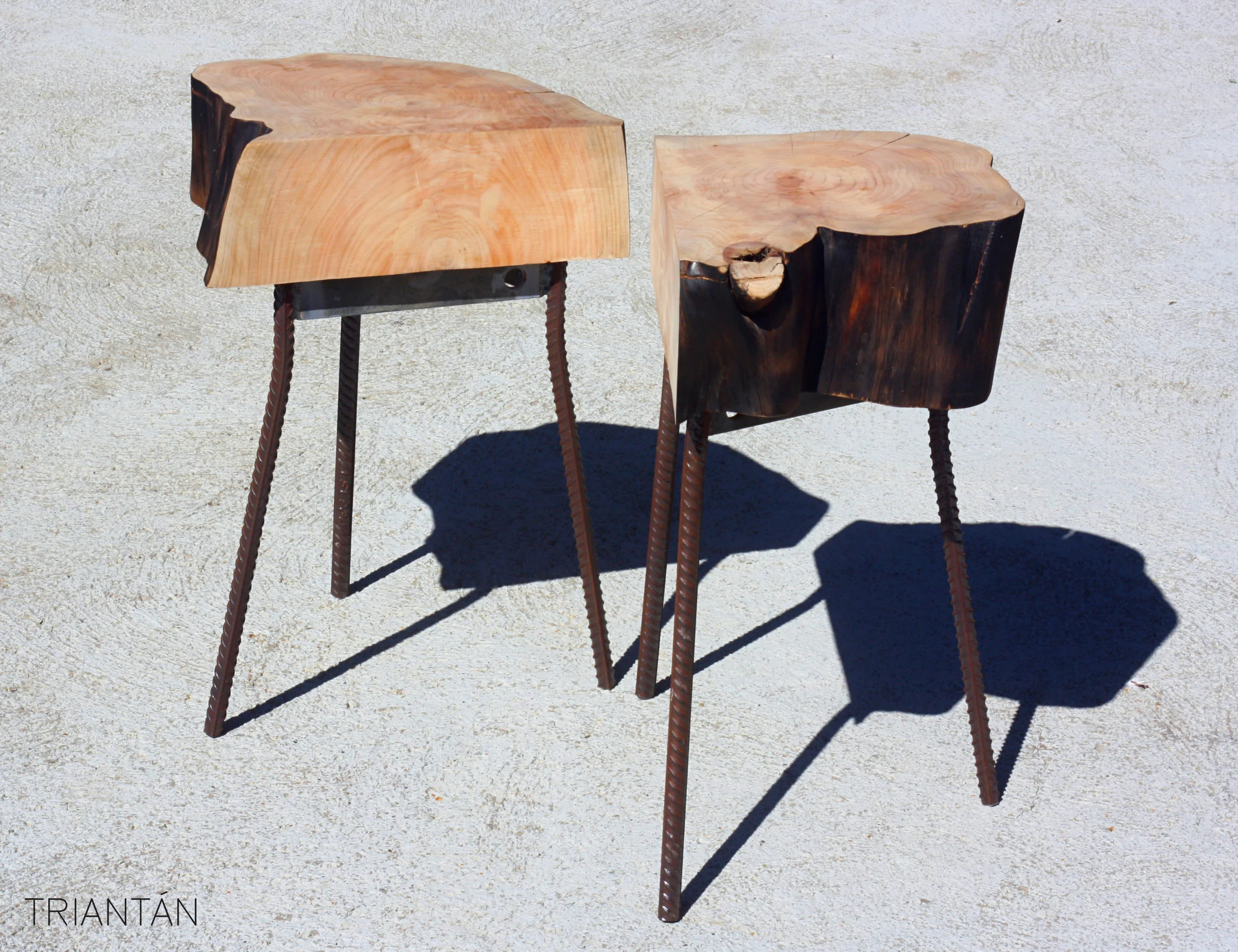 IMG_3242_Fotor Logo.jpg