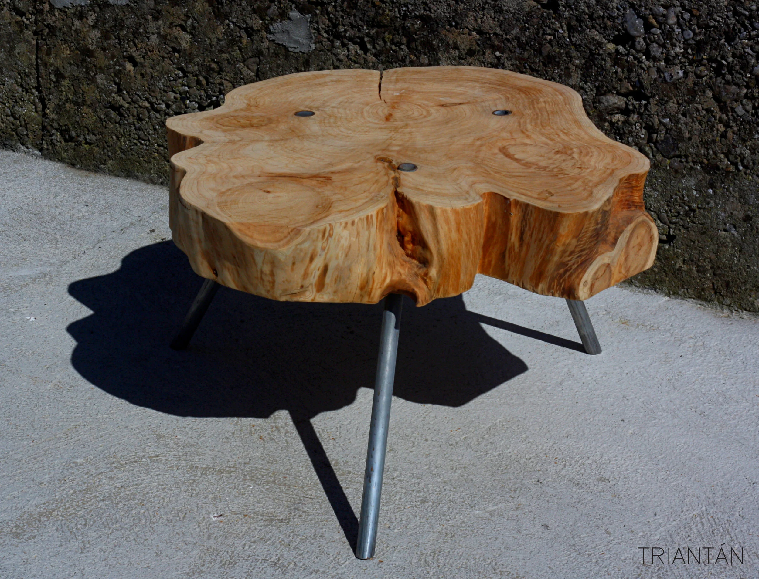 IMG_3338_Fotor Logo.jpg