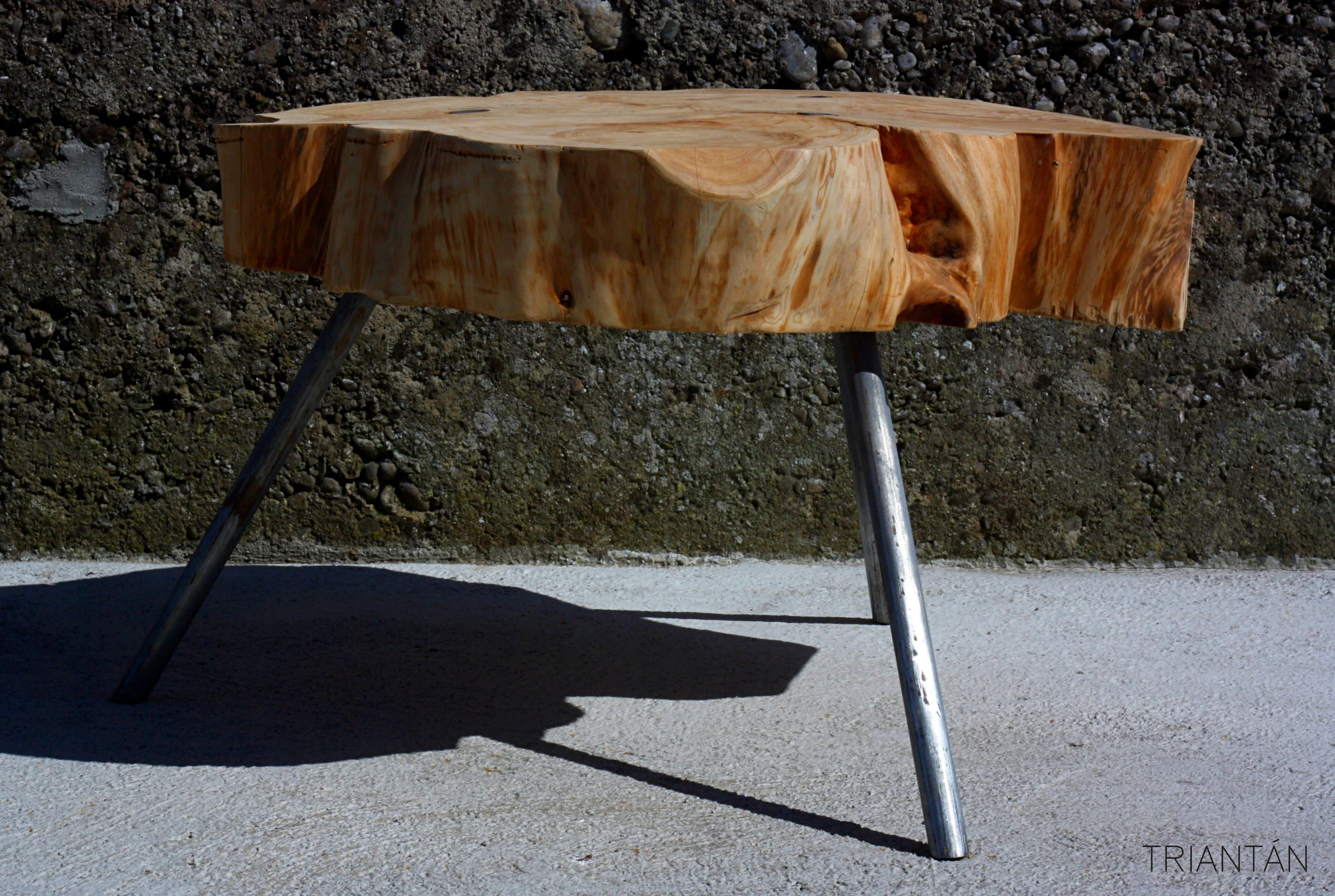 IMG_3341_Fotor Logo.jpg