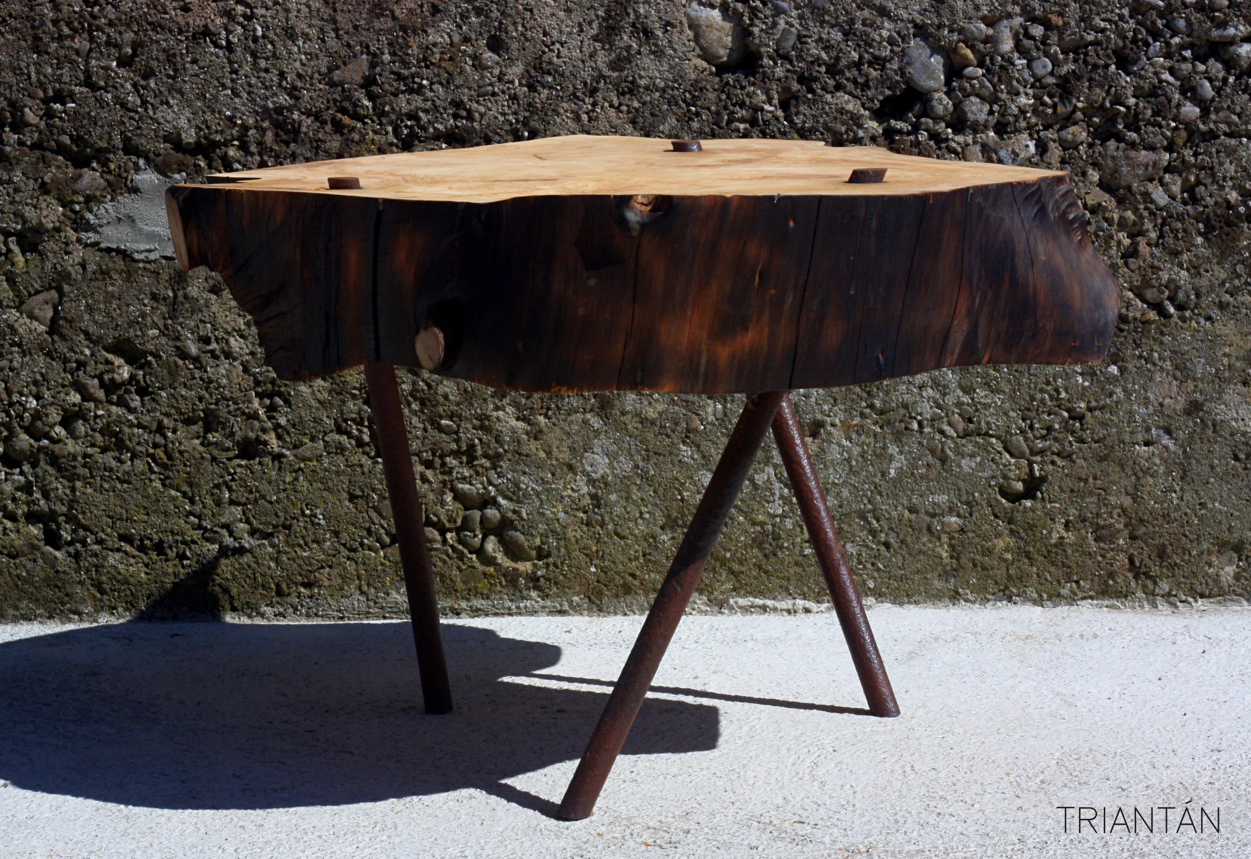 IMG_3316_Fotor Logo.jpg