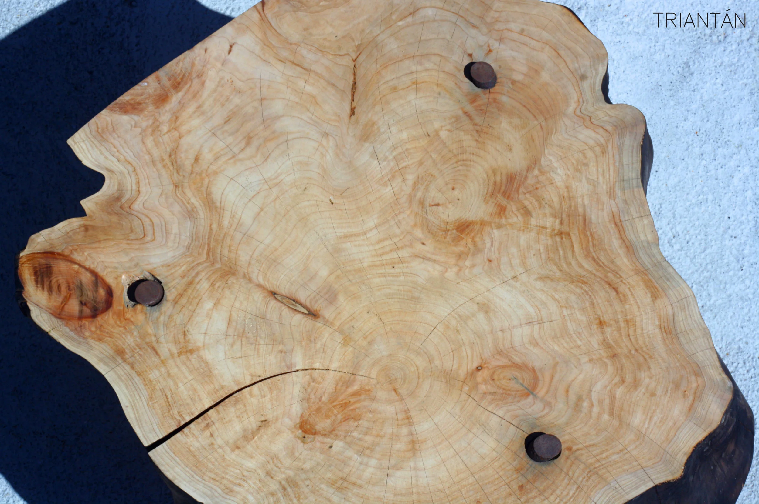 IMG_3323_Fotor Logo.jpg