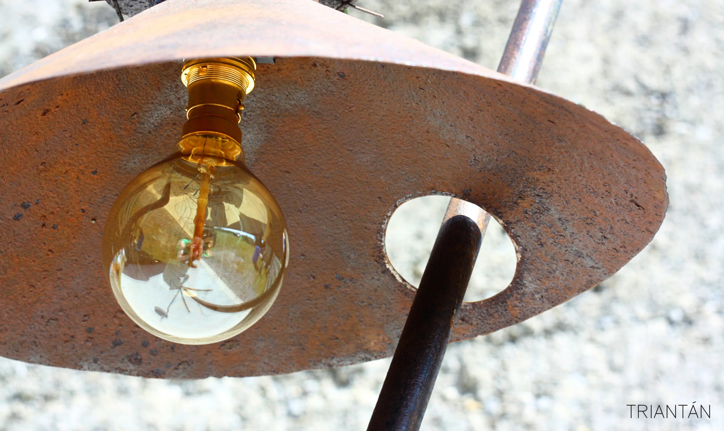 IMG_3432_Fotor Logo.jpg