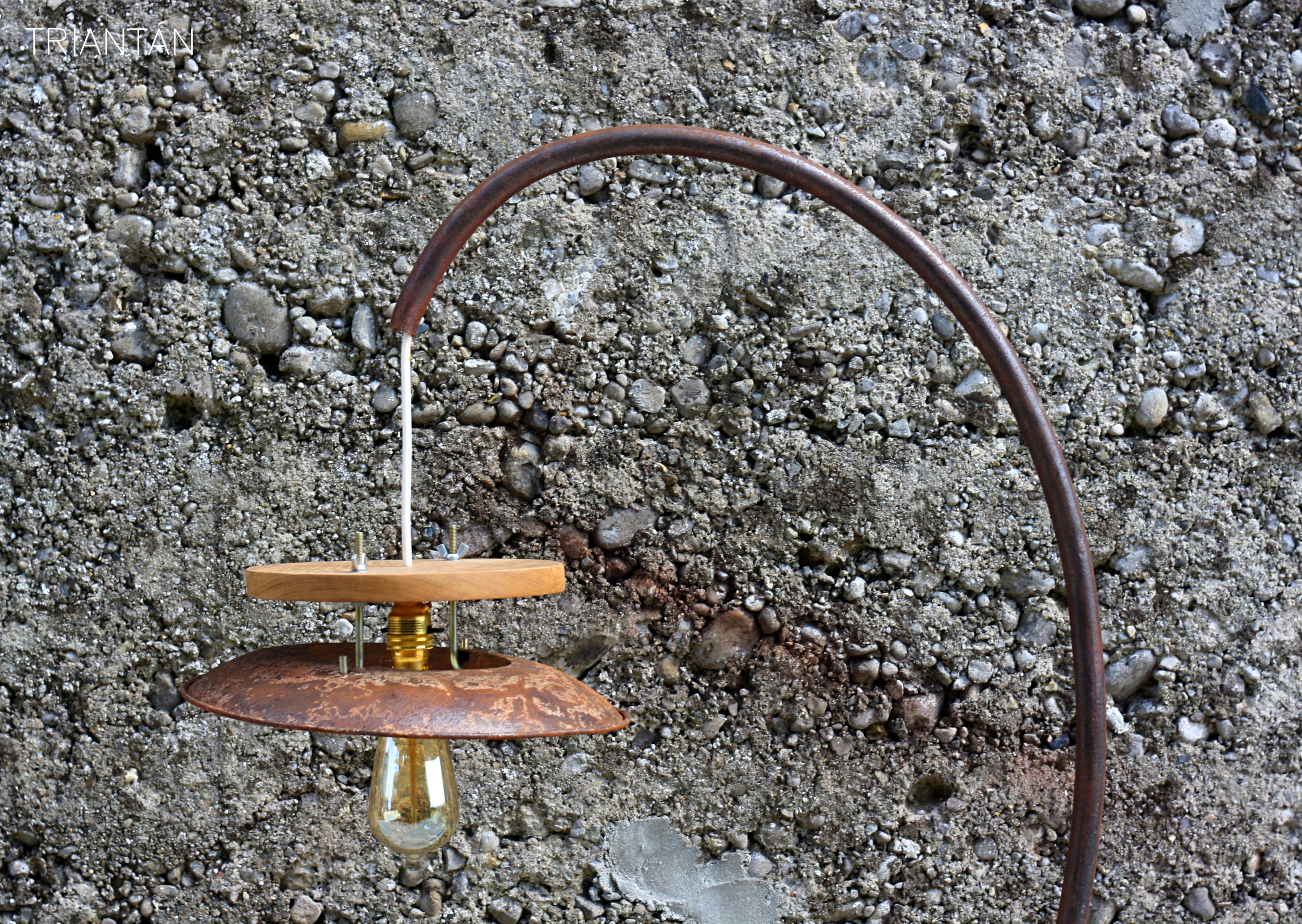 IMG_3448_Fotor Logo.jpg