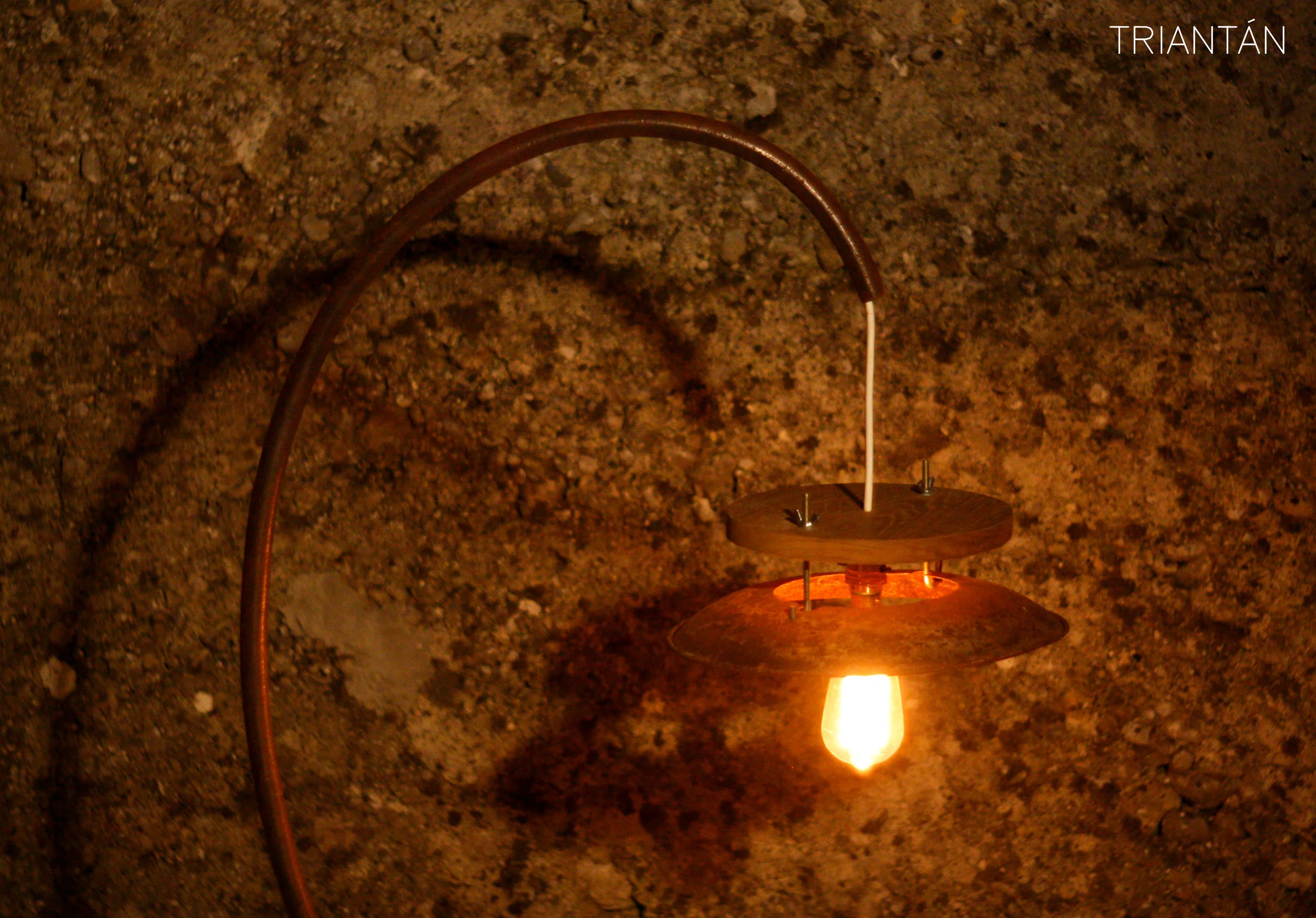 IMG_3526_Fotor Logo.jpg