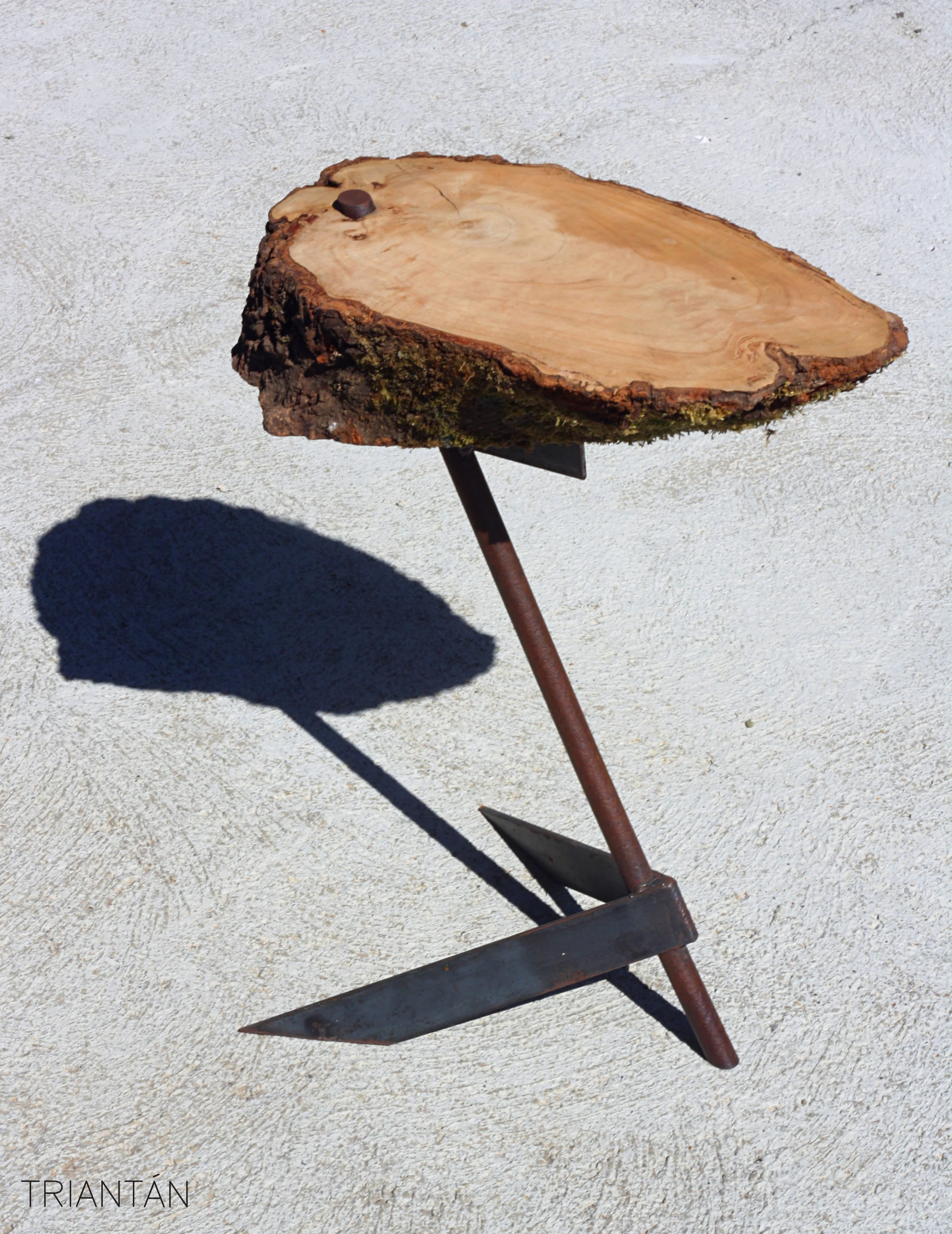 IMG_3292_Fotor Logo.jpg