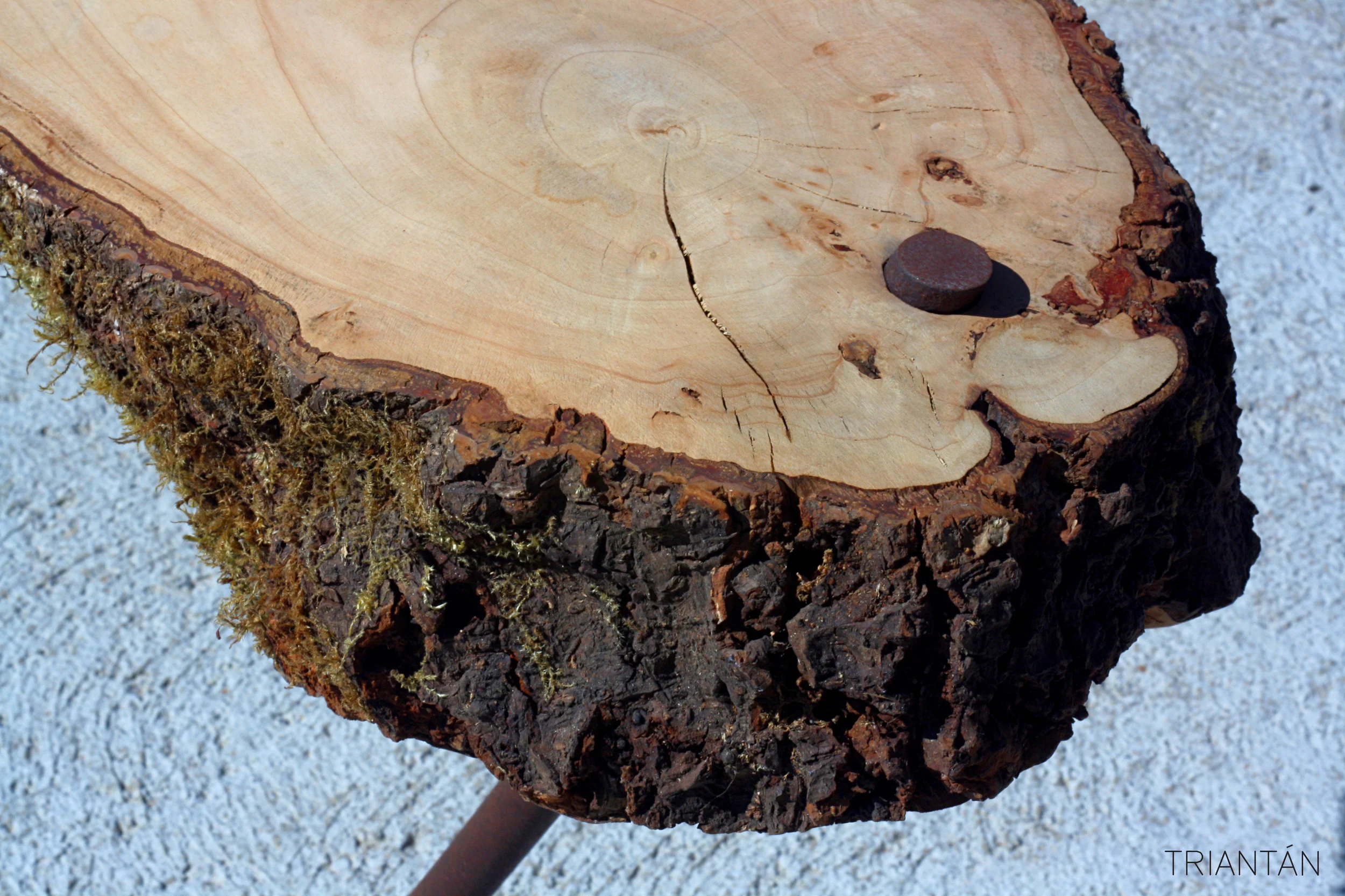 IMG_3293_Fotor Logo.jpg