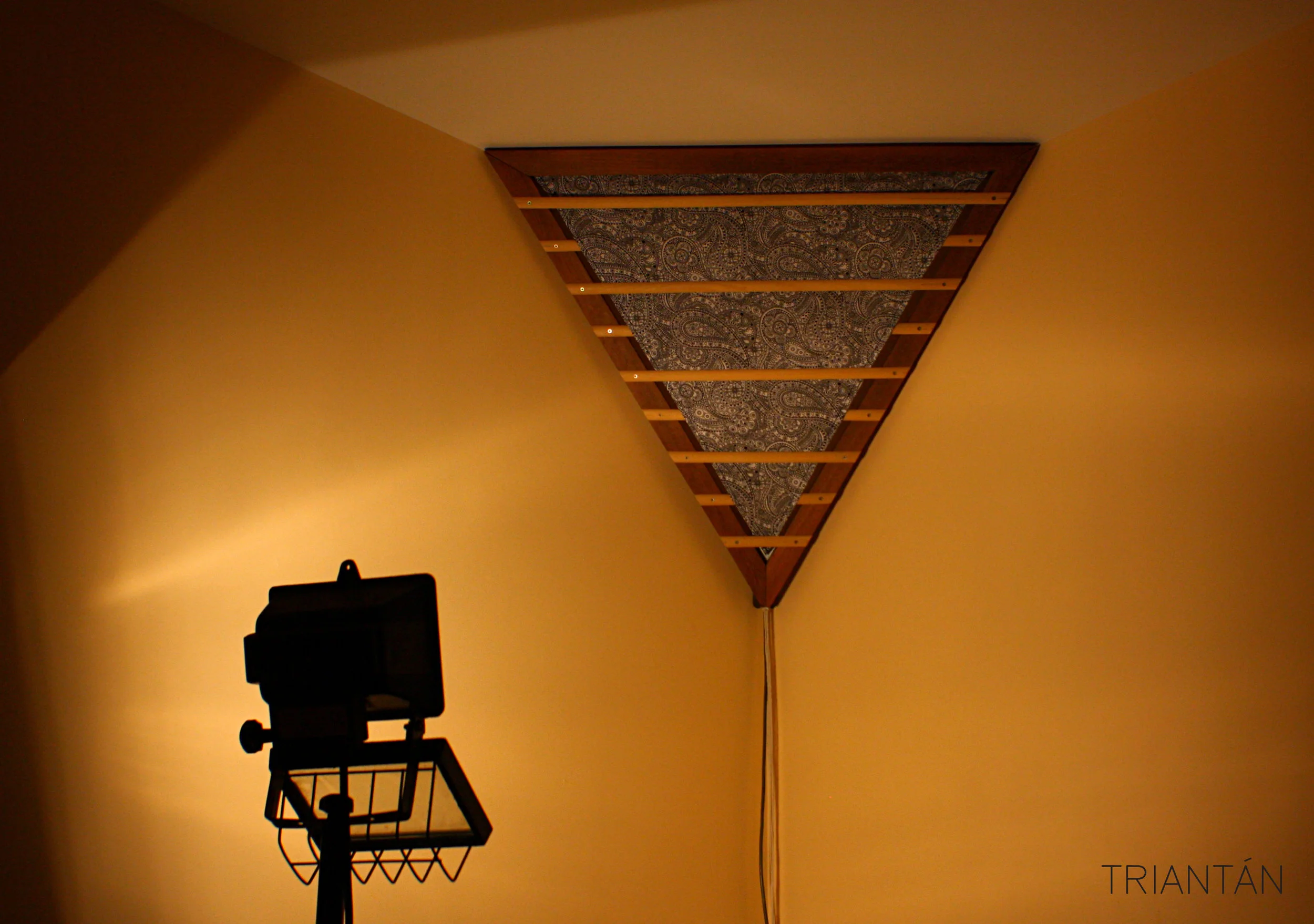 IMG_3771_Fotor Logo.jpg