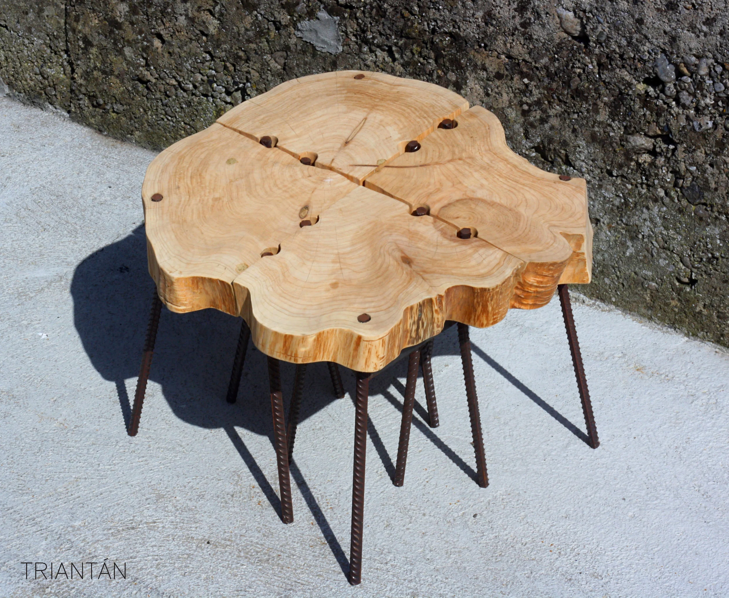 IMG_3360_Fotor Logo.jpg