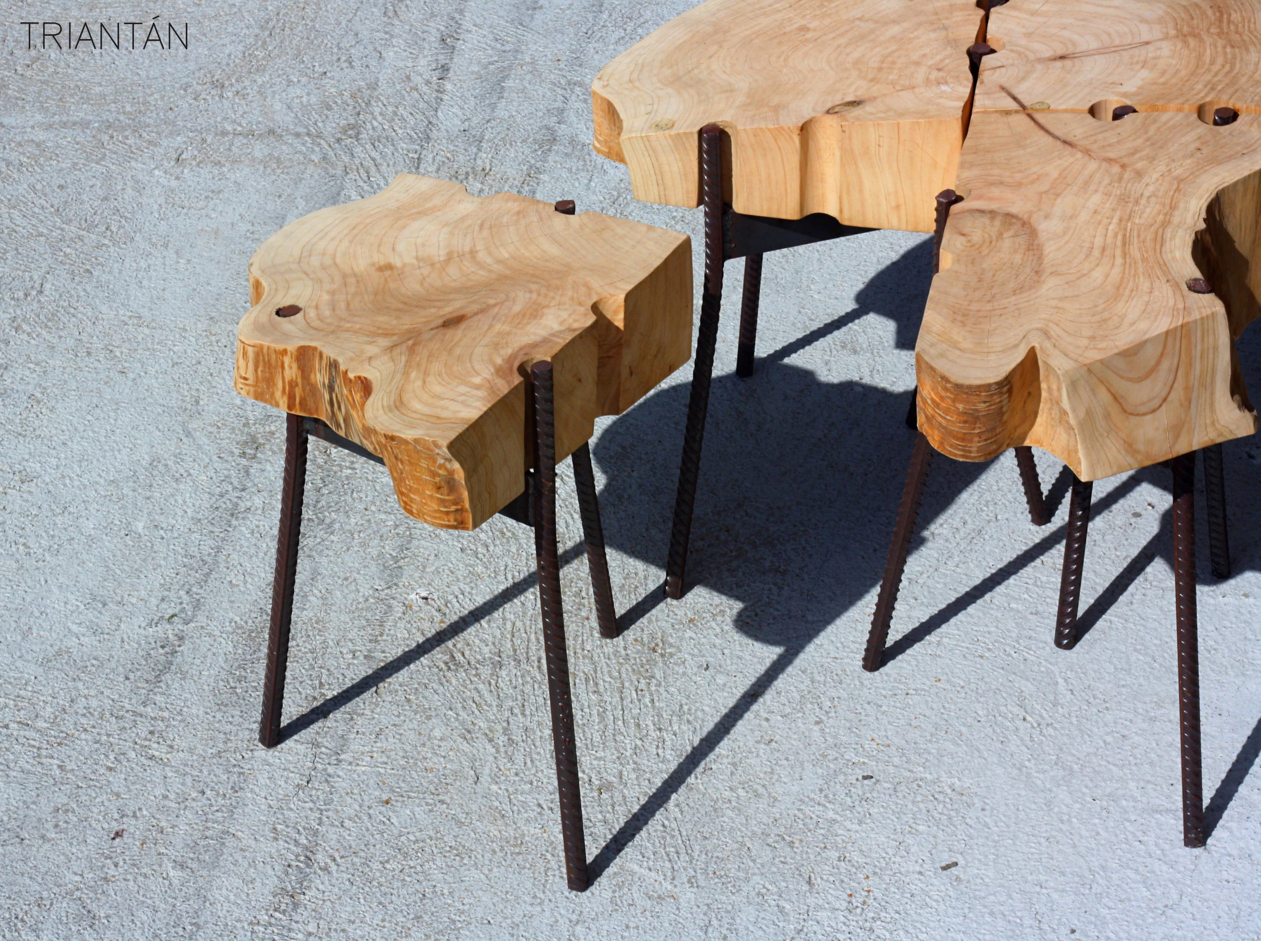 IMG_3366_Fotor Logo.jpg