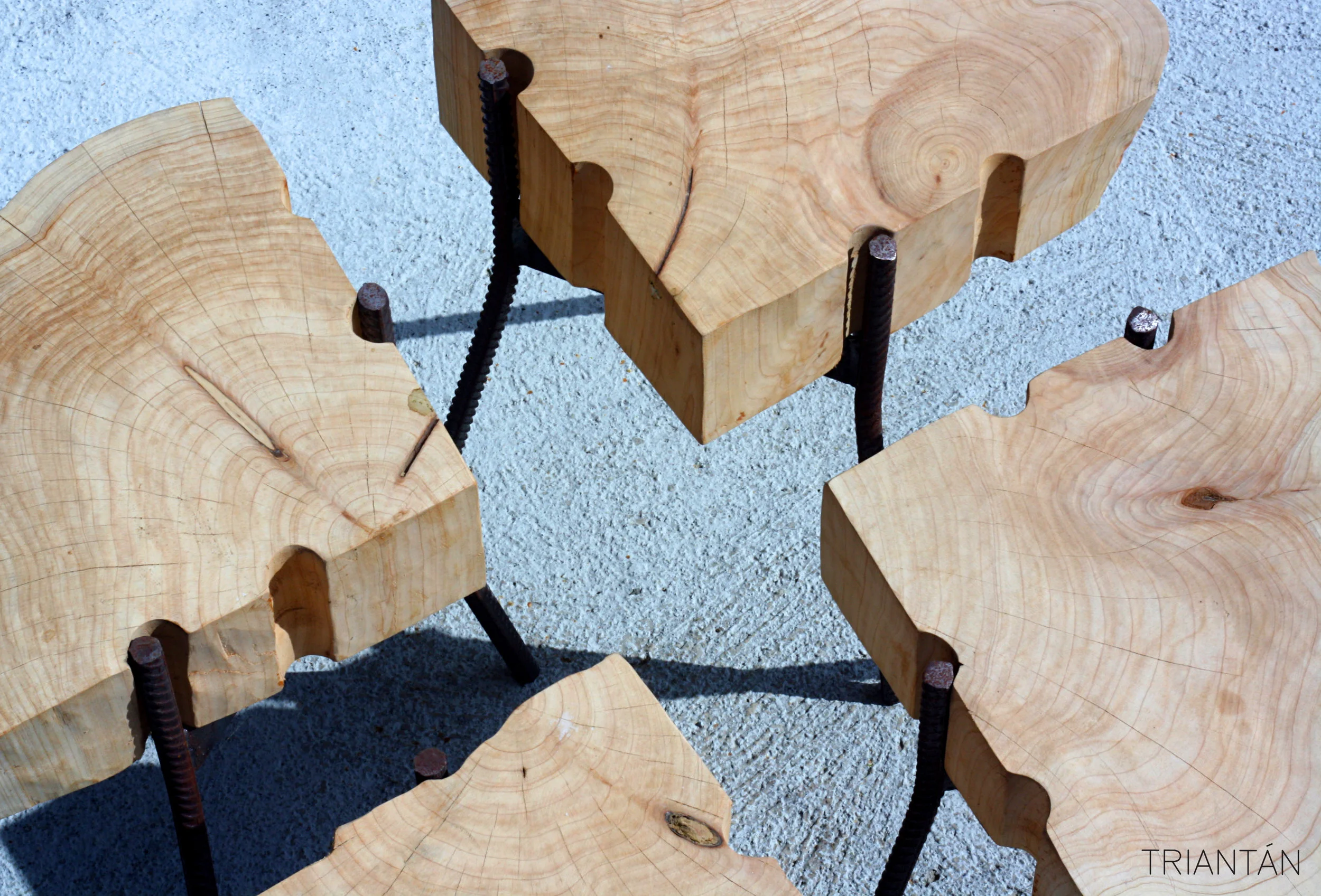 IMG_3372_Fotor Logo.jpg