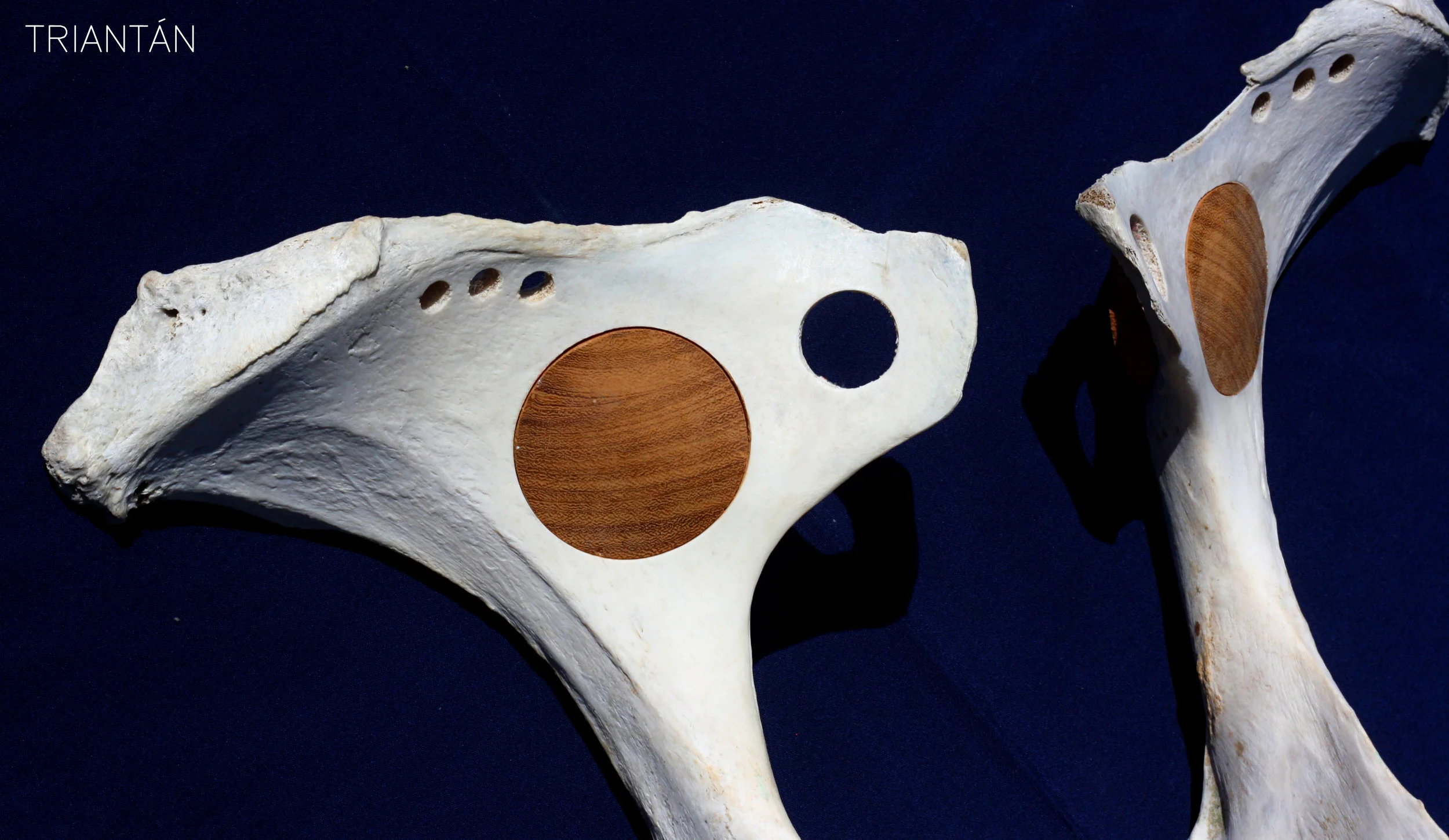 IMG_3577_Fotor Logo.jpg