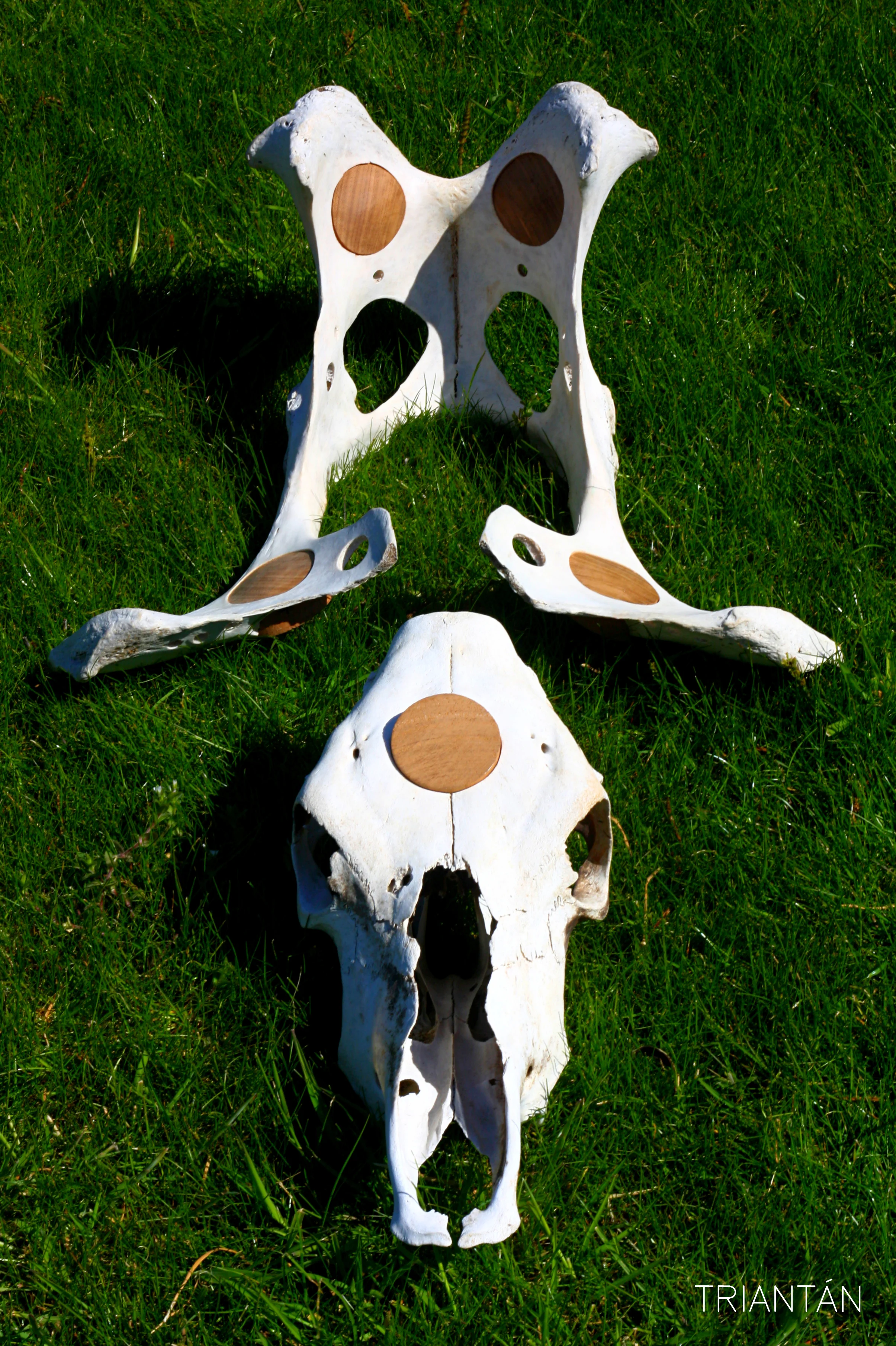 IMG_3627_Fotor Logo.jpg