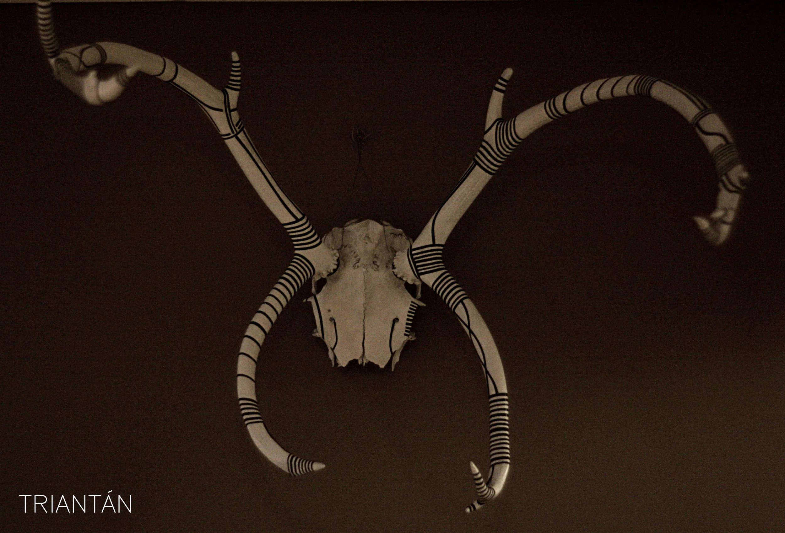 IMG_9508_Fotor Logo.jpg