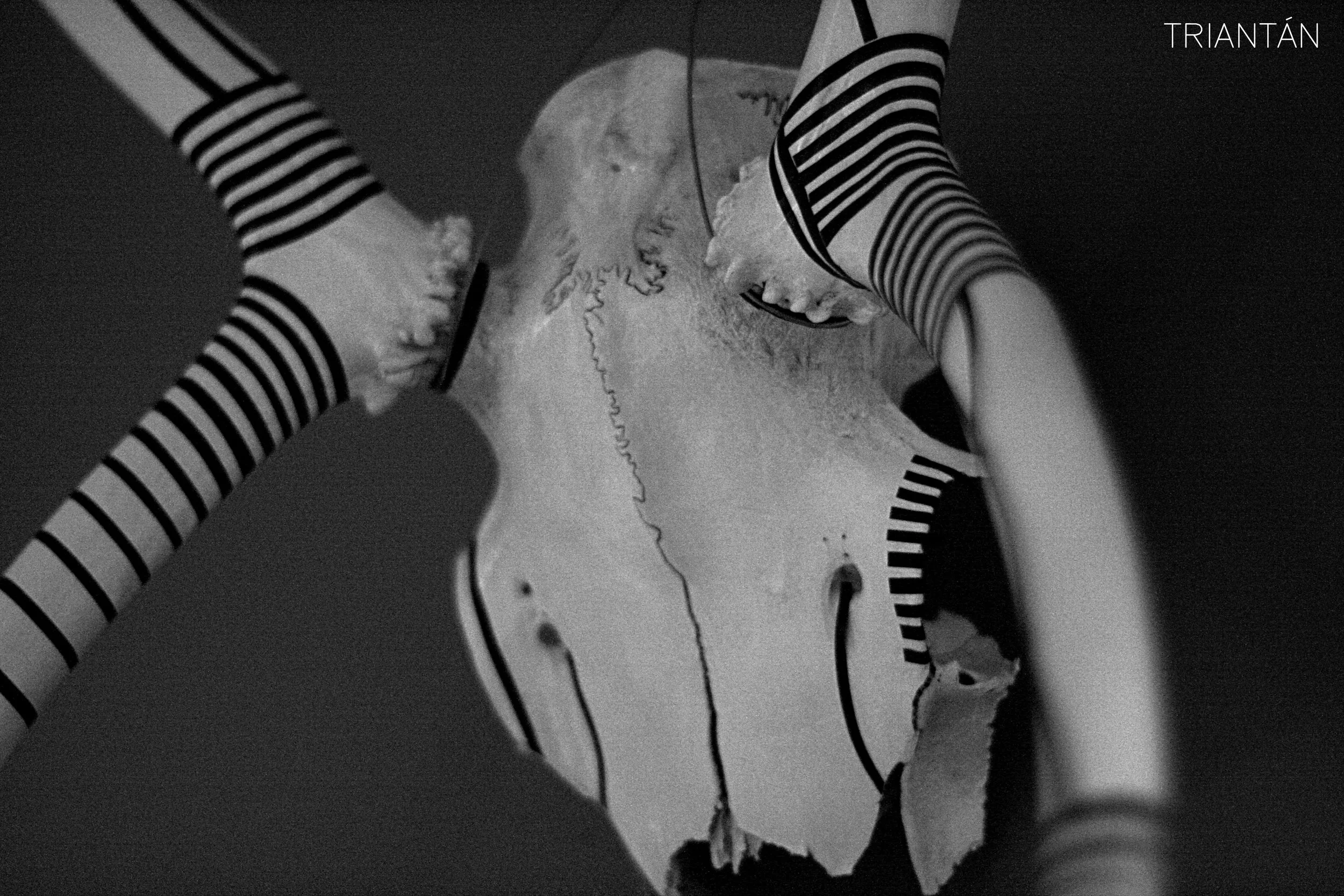 IMG_9509_Fotor Logo.jpg