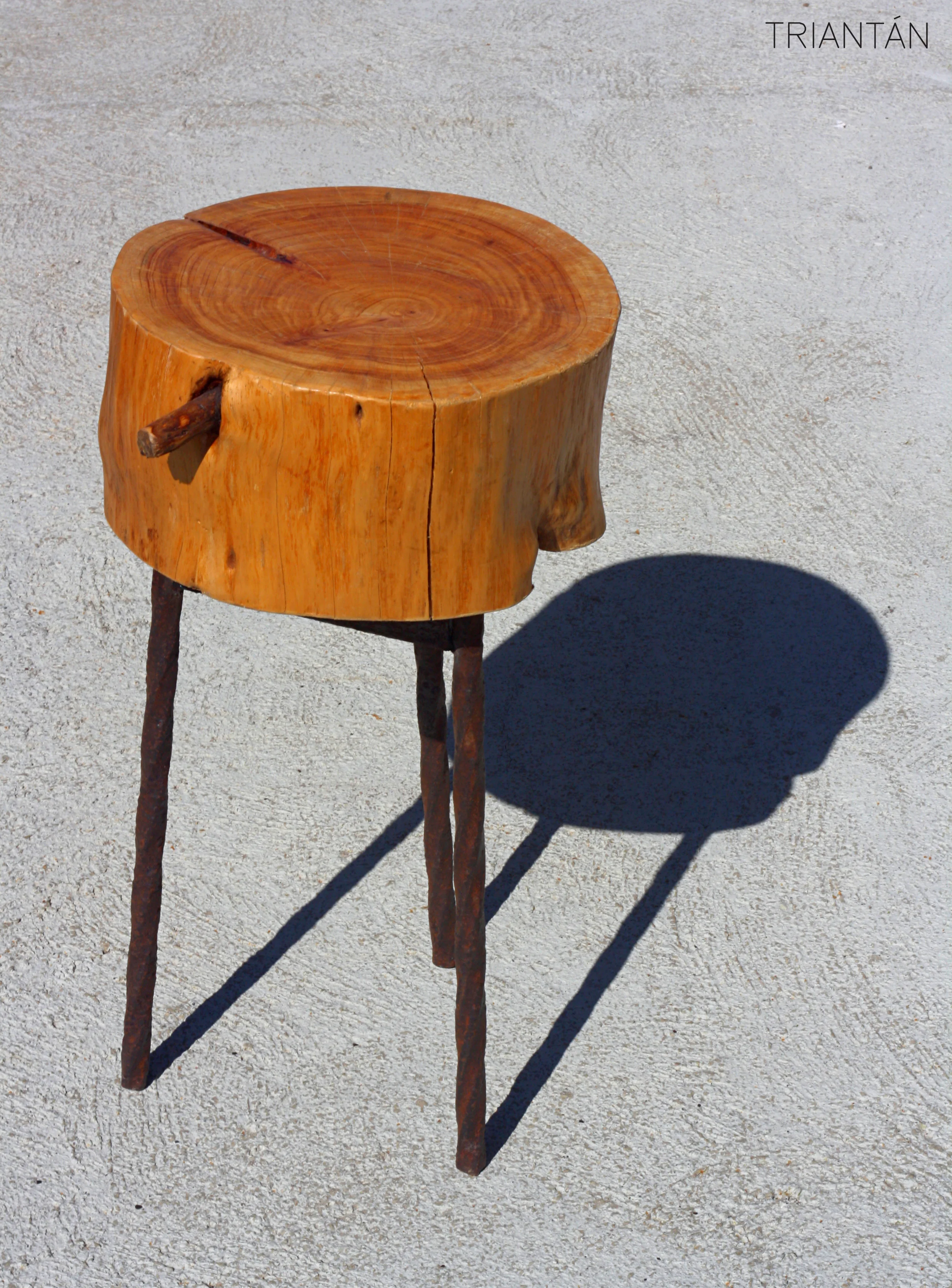 IMG_3343_Fotor Logo.jpg