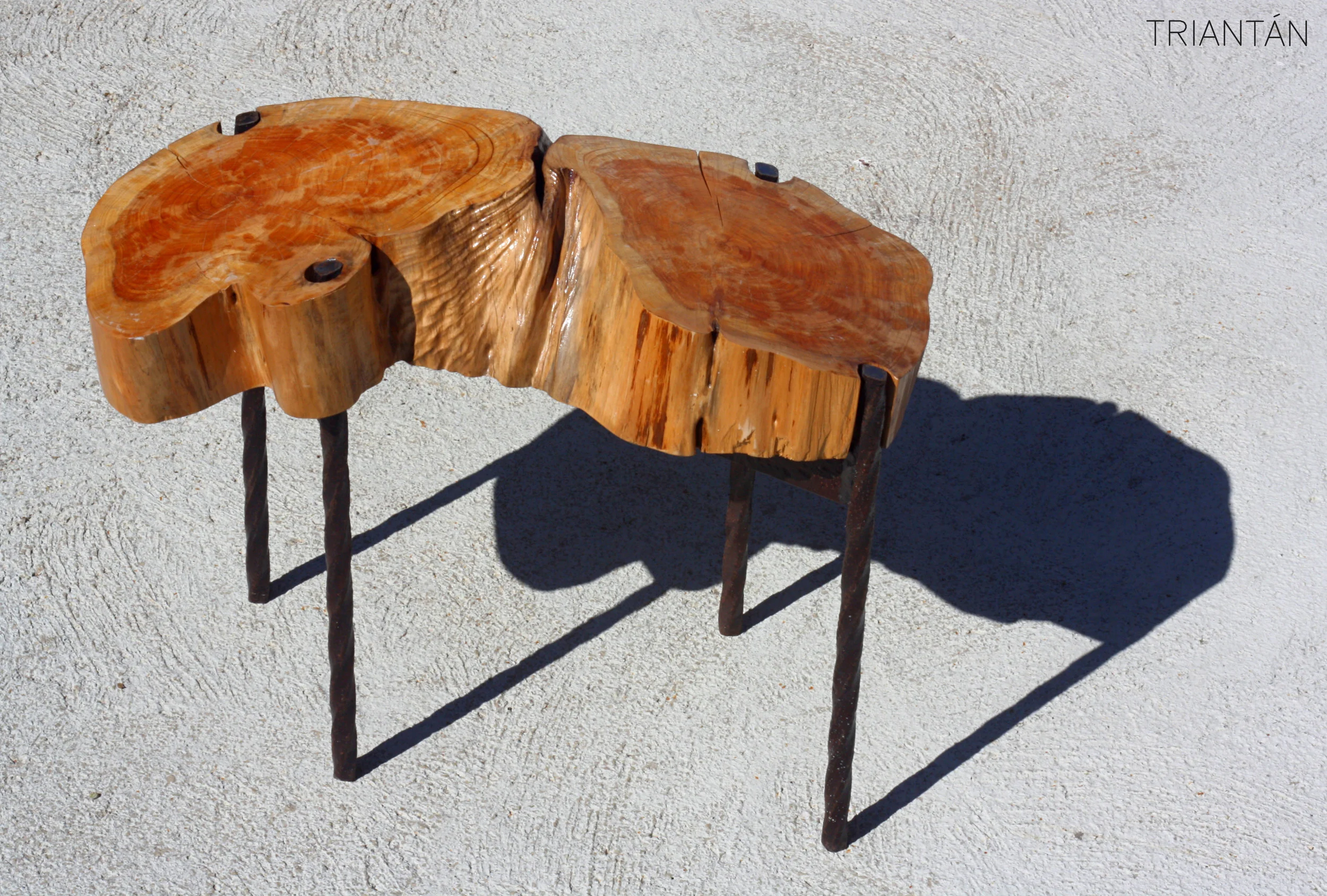 IMG_3324_Fotor Logo.jpg