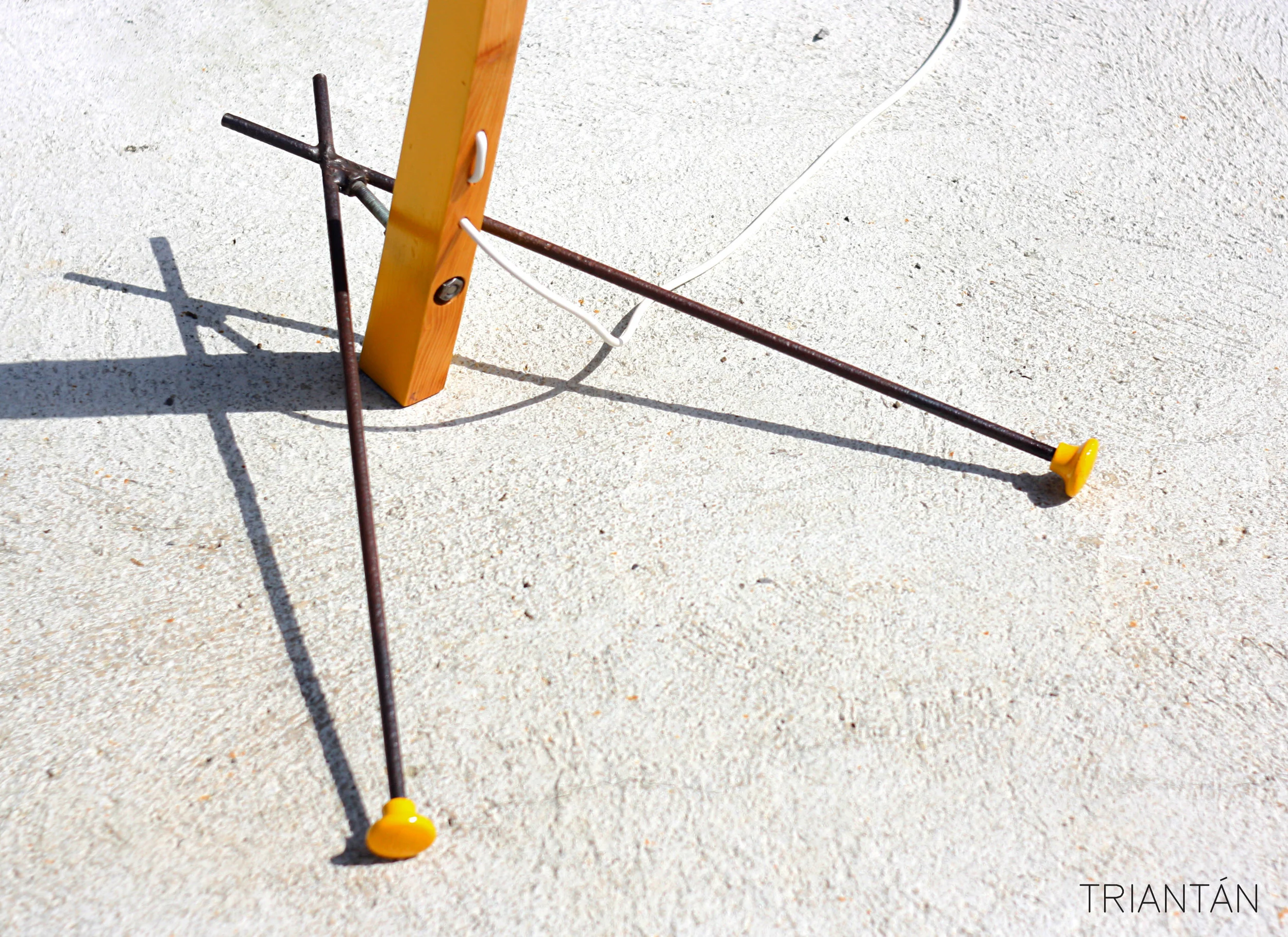 IMG_4317_Fotor Logo.jpg