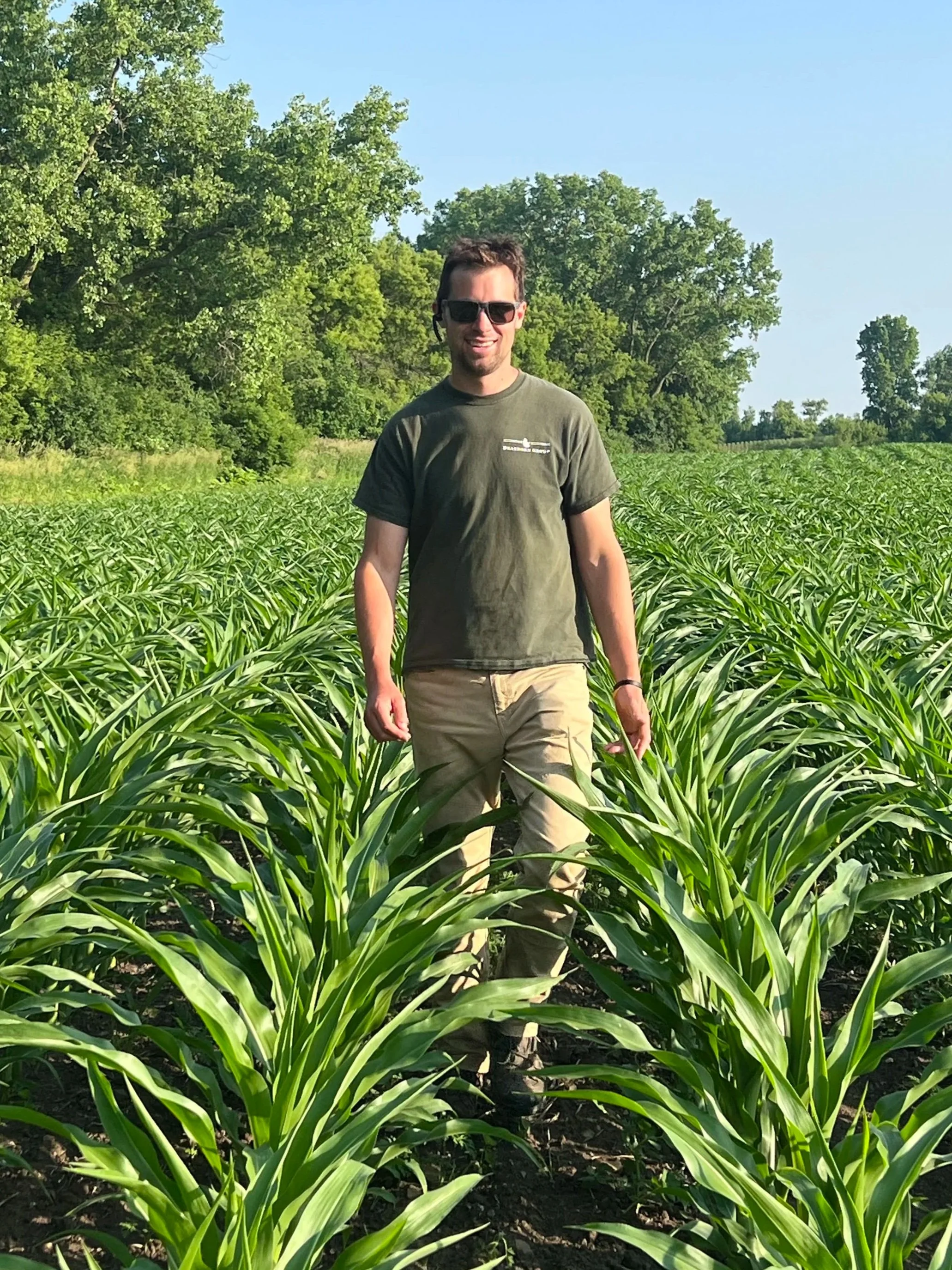 A man wearing sunglasses and a green t-shirt standing in a field of green plants with trees and a clear blue sky in the background.