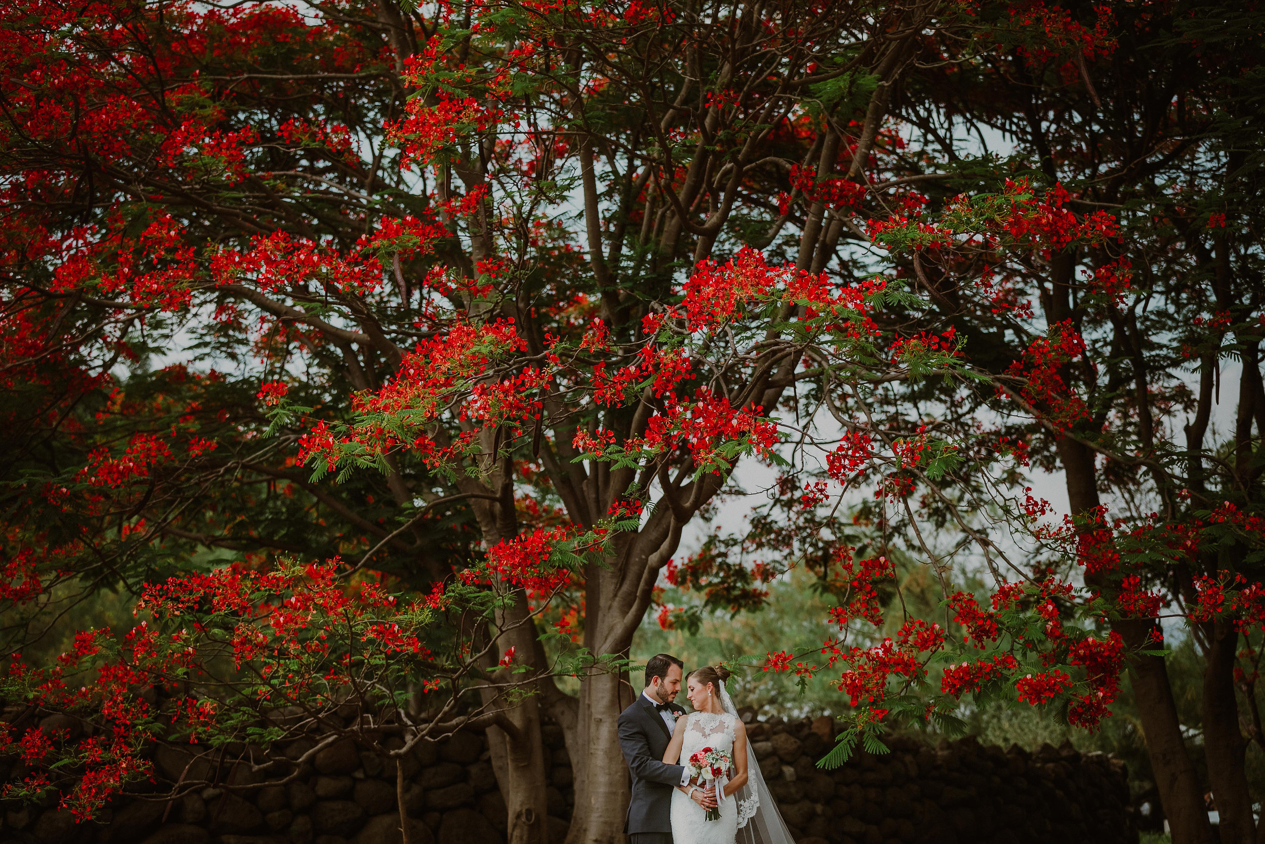 Boda Cesar y Patsy-18.jpg