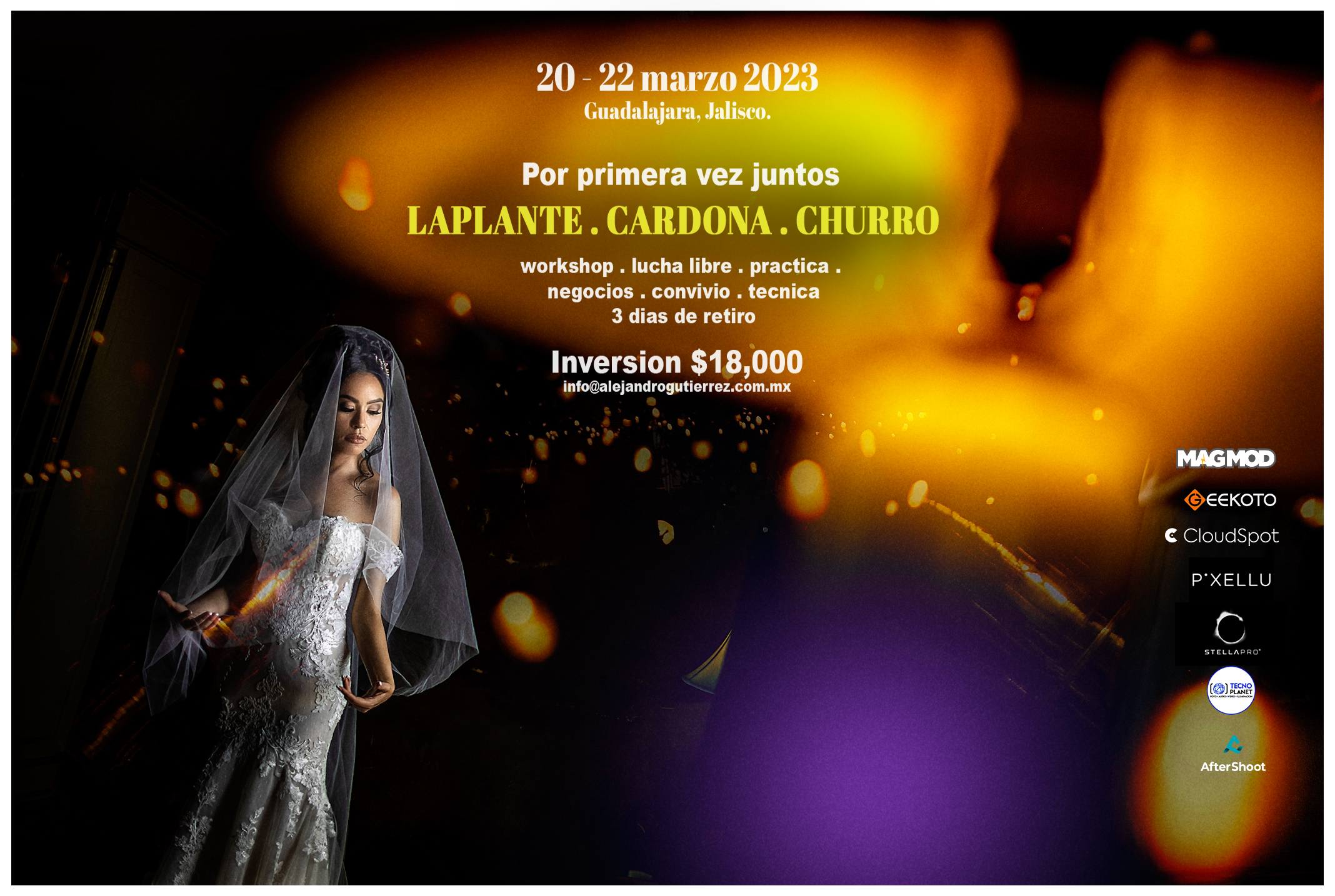 Cartel All Inclusive3.png